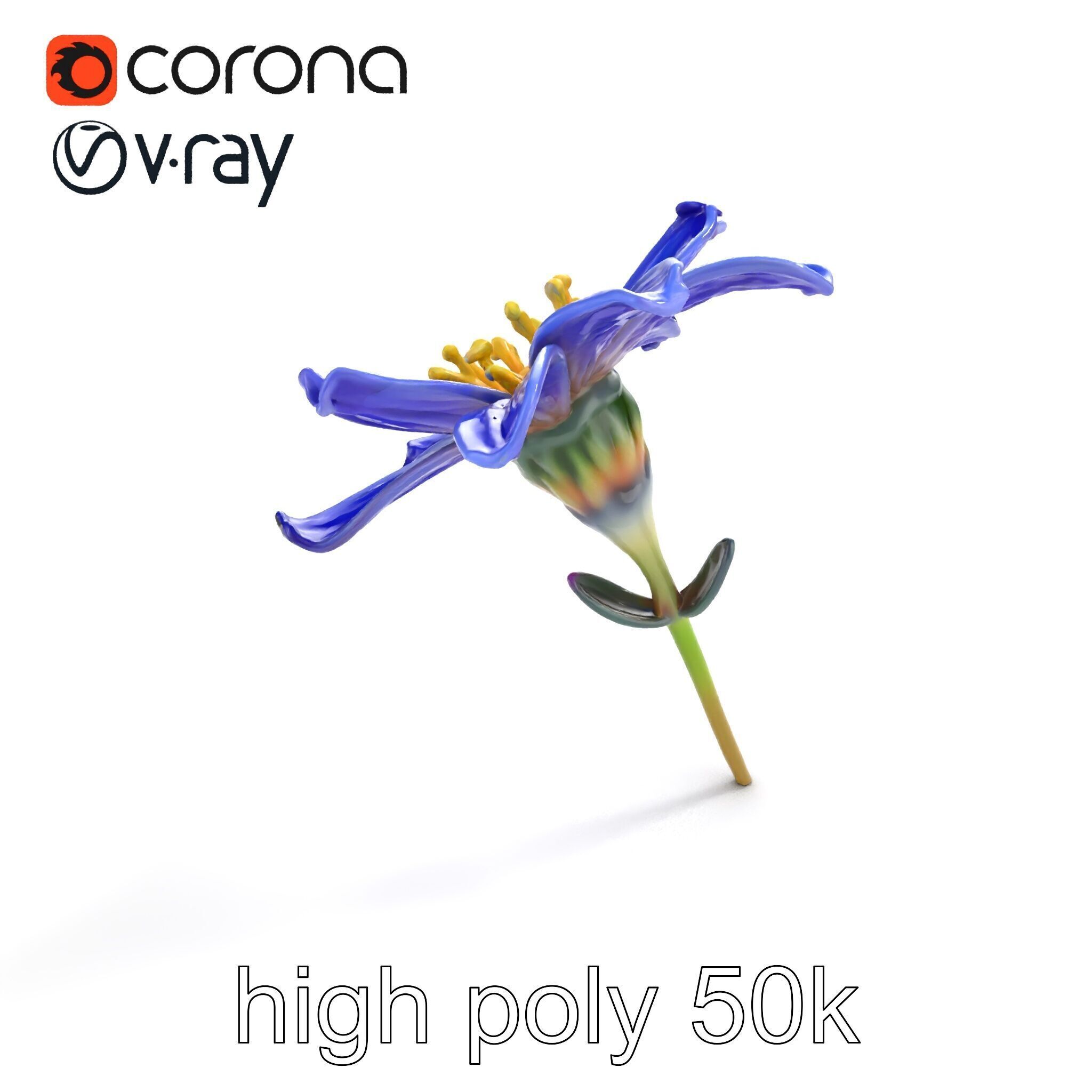 Lavandula Blue Flower Natural Texture model pack Low-poly 3D model_24