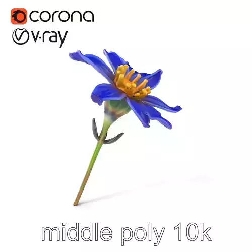 Lavandula Blue Flower Natural Texture model pack Low-poly 3D model Lavandula Blue Flower Natural Texture model pack Low-poly 3D model