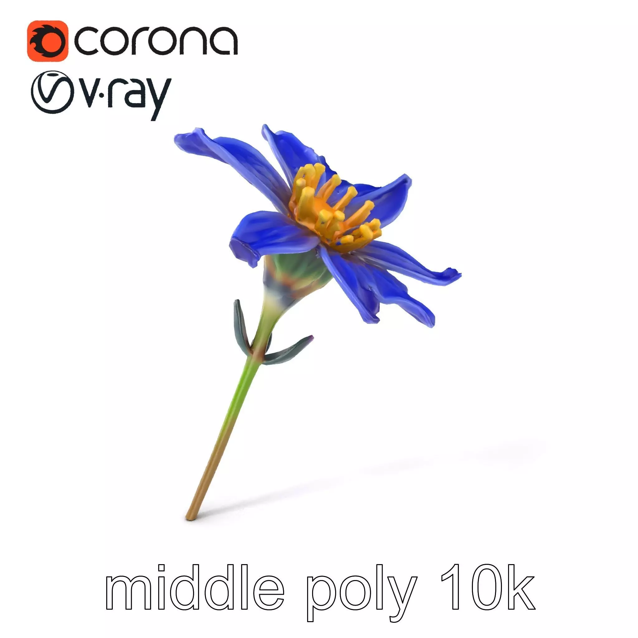Lavandula Blue Flower Natural Texture model pack Low-poly 3D model_0