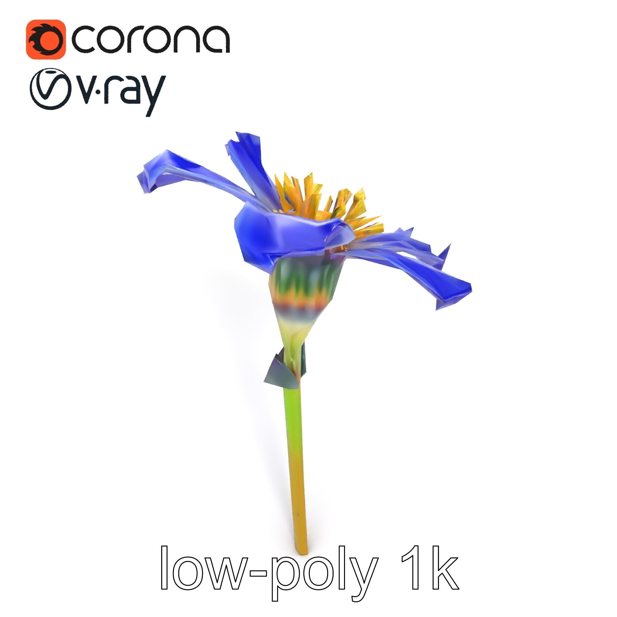 Lavandula Blue Flower Natural Texture model pack Low-poly 3D model_19