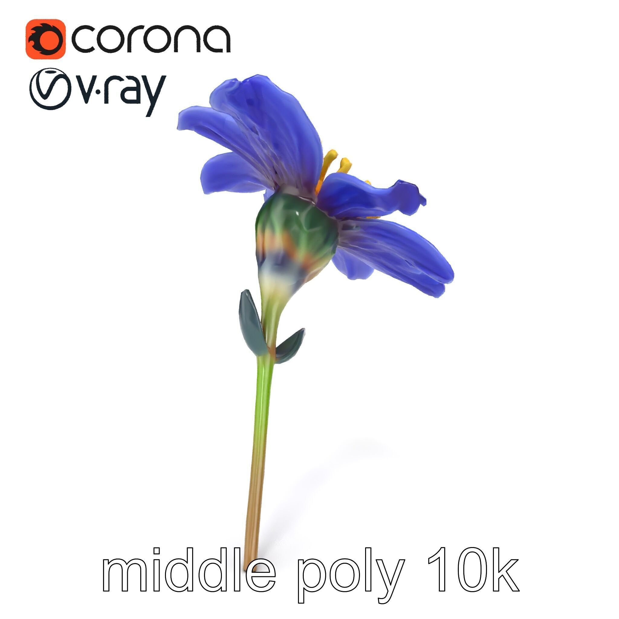 Lavandula Blue Flower Natural Texture model pack Low-poly 3D model_23