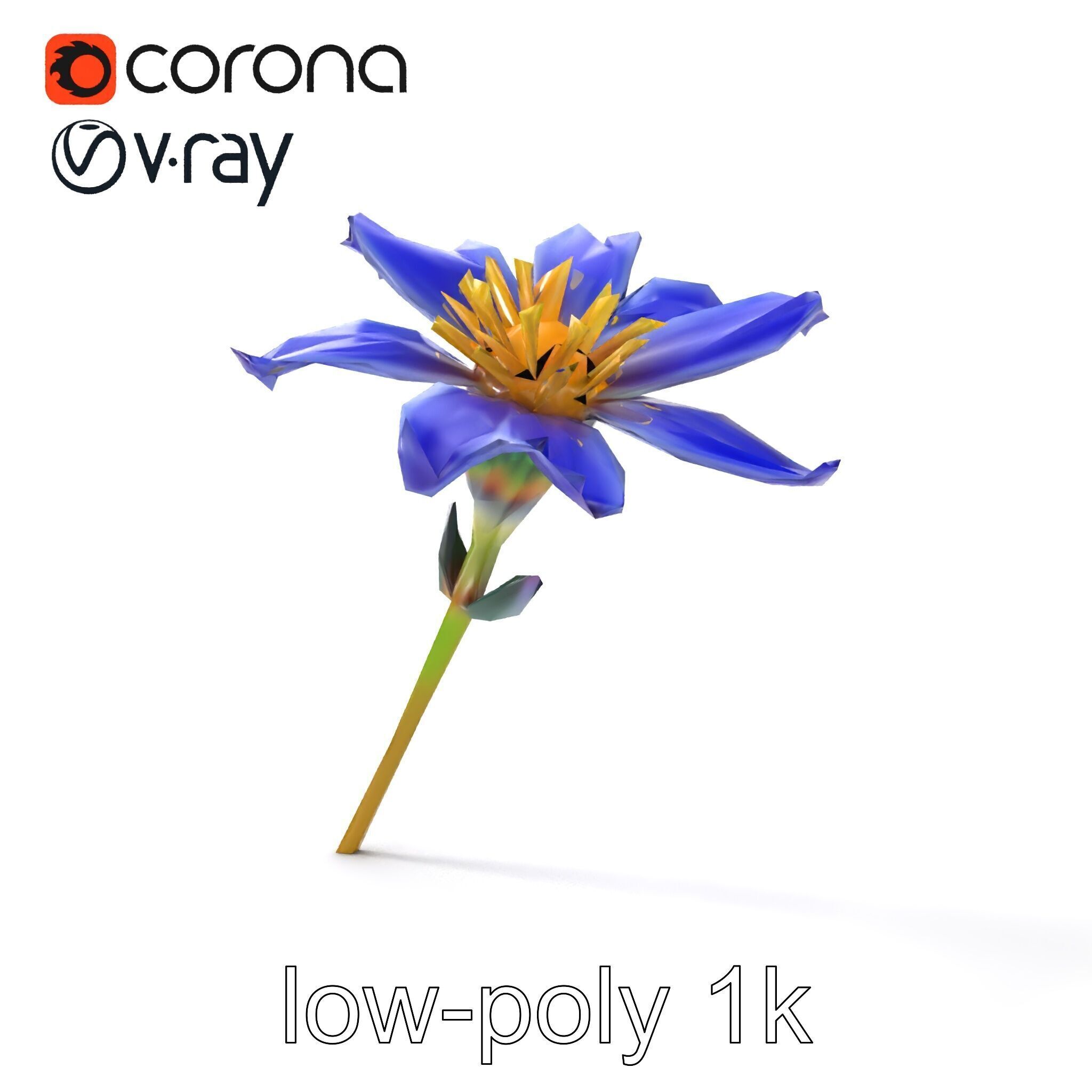Lavandula Blue Flower Natural Texture model pack Low-poly 3D model_16