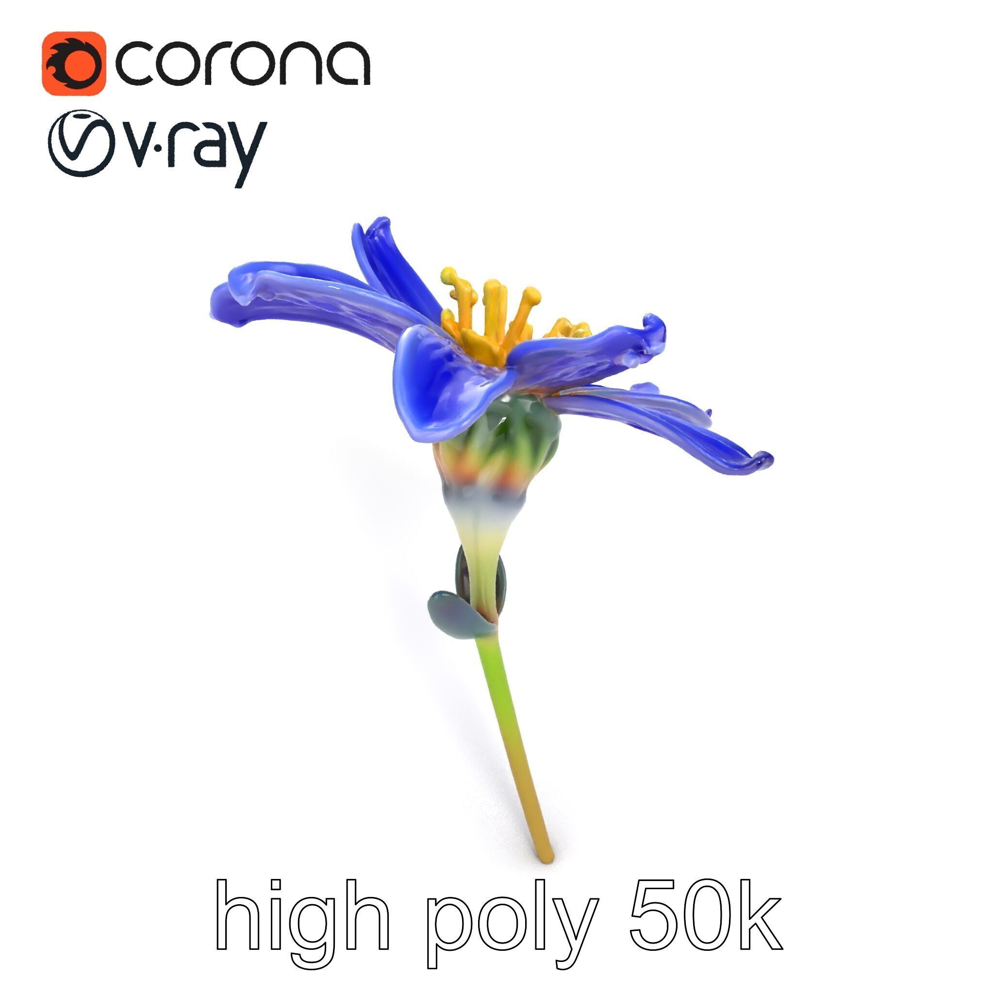 Lavandula Blue Flower Natural Texture model pack Low-poly 3D model_21