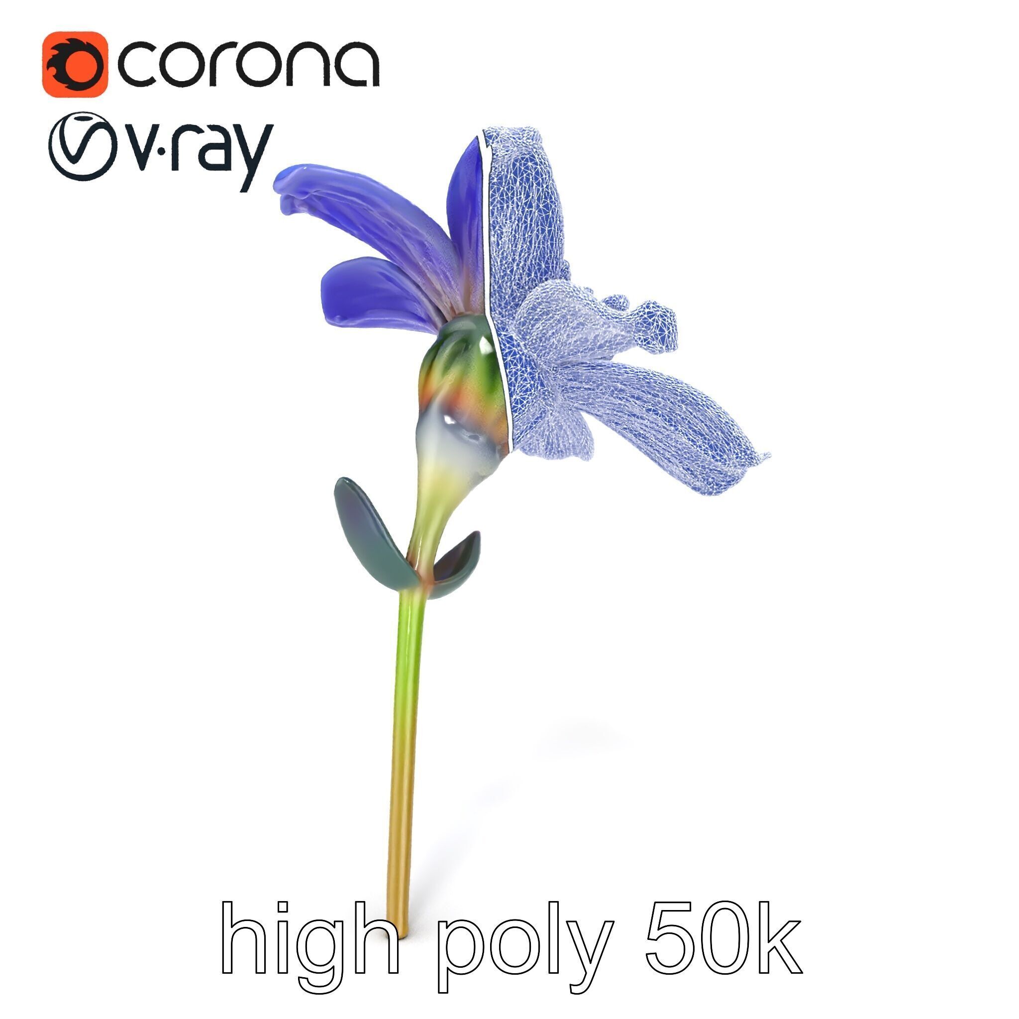 Lavandula Blue Flower Natural Texture model pack Low-poly 3D model_13