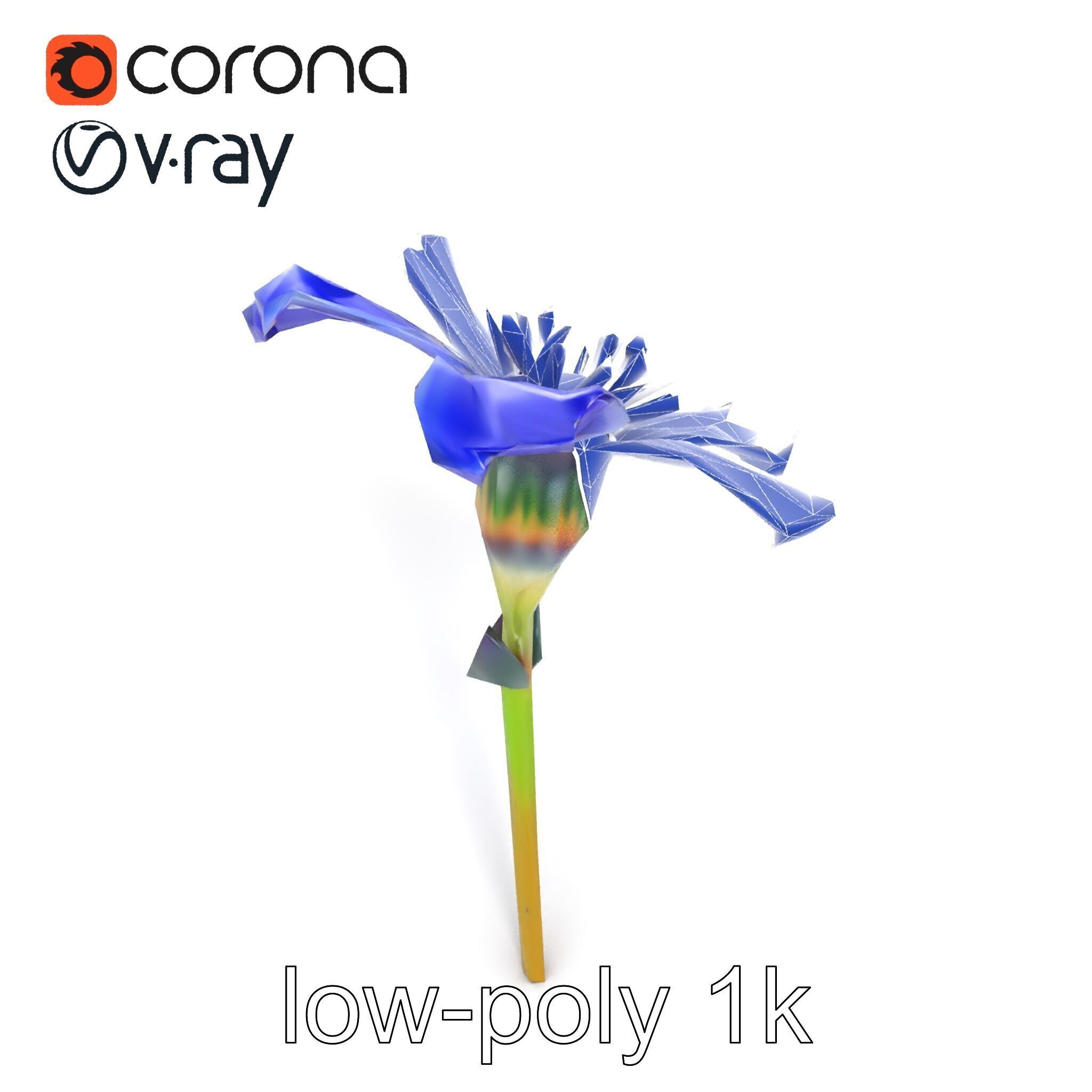 Lavandula Blue Flower Natural Texture model pack Low-poly 3D model_26