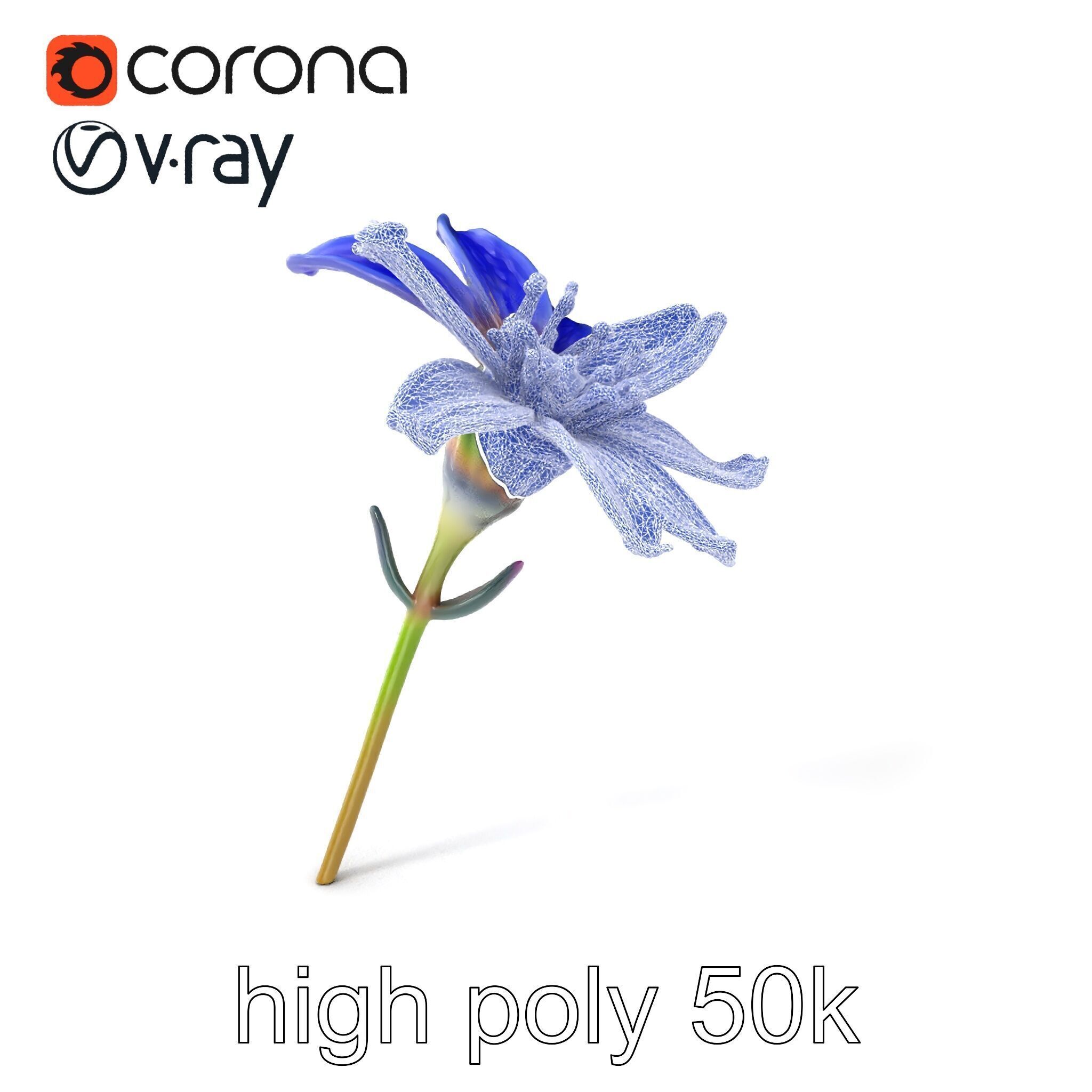 Lavandula Blue Flower Natural Texture model pack Low-poly 3D model_10
