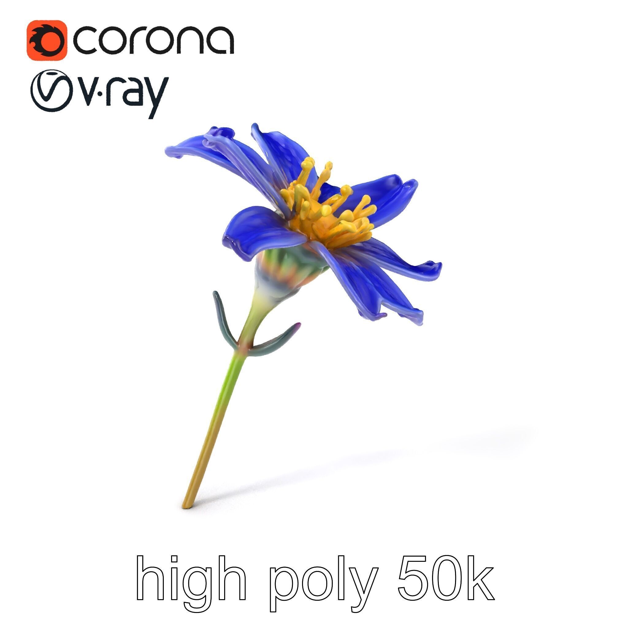 Lavandula Blue Flower Natural Texture model pack Low-poly 3D model_2