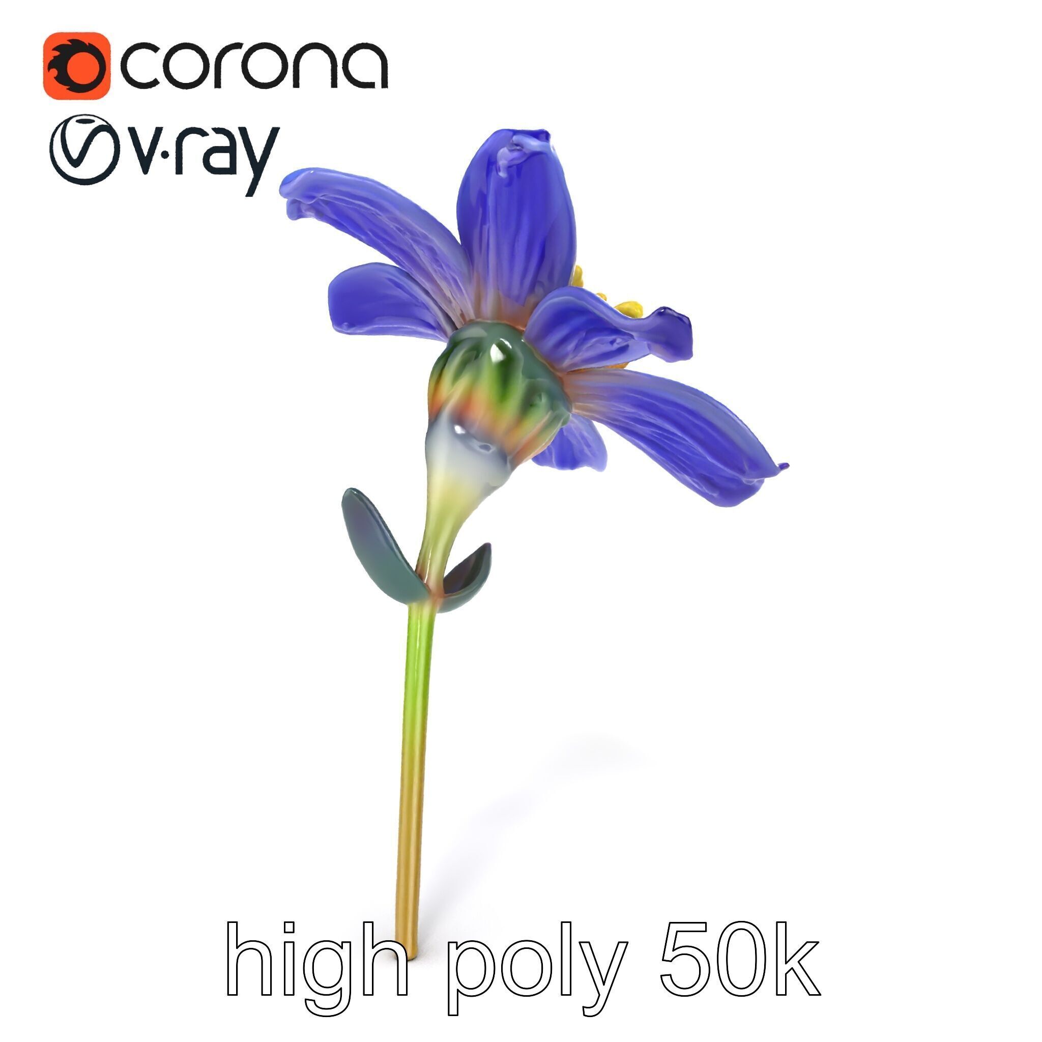 Lavandula Blue Flower Natural Texture model pack Low-poly 3D model_29