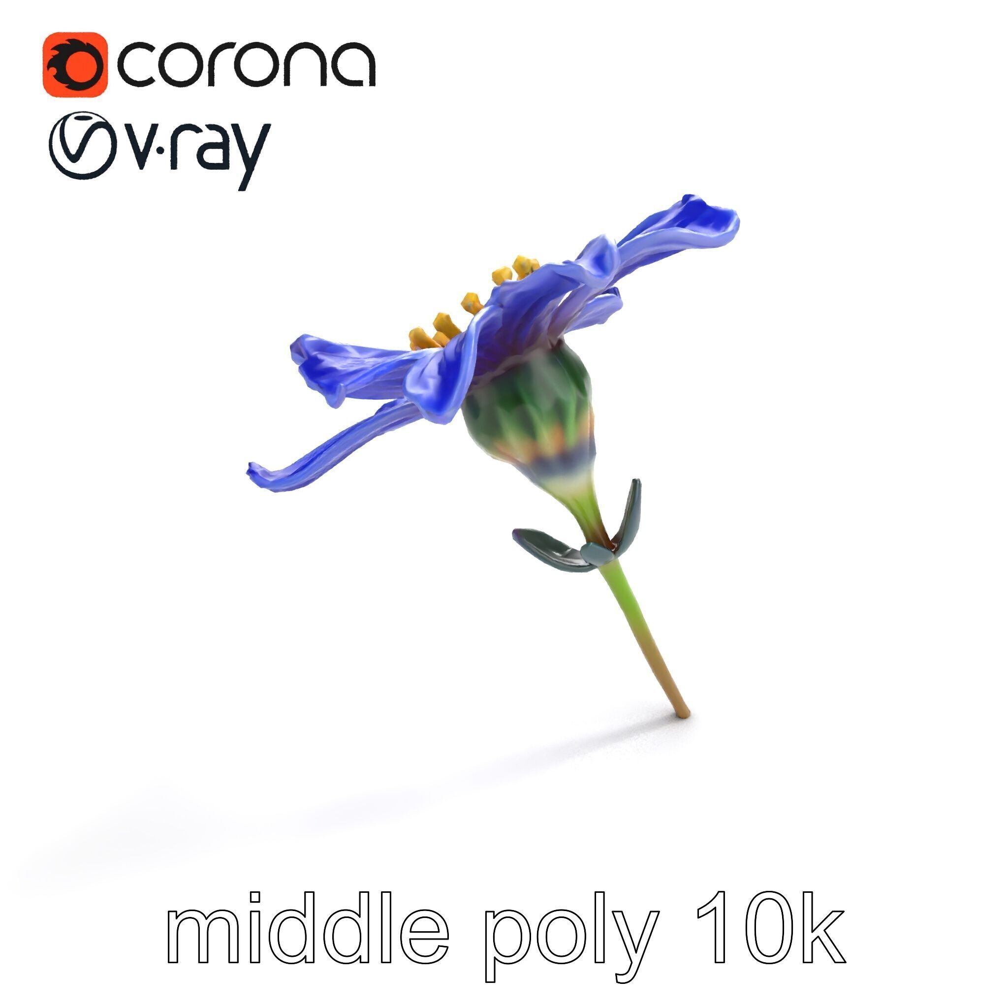 Lavandula Blue Flower Natural Texture model pack Low-poly 3D model_8
