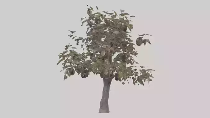 Plum tree model Low-poly 3D model