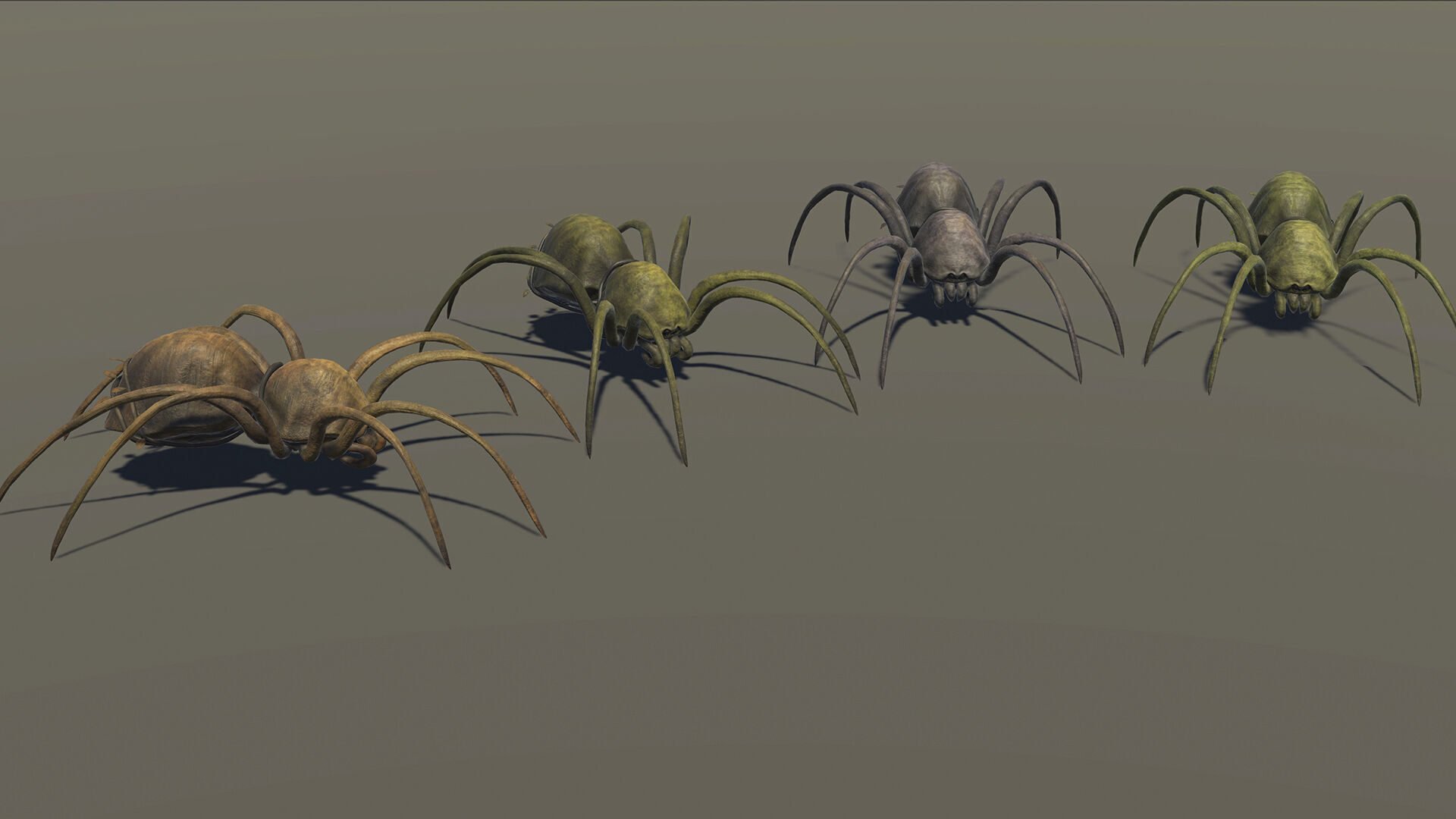 Land Spider3 - Game Ready Low-poly 3D model Low-poly 3D model_11