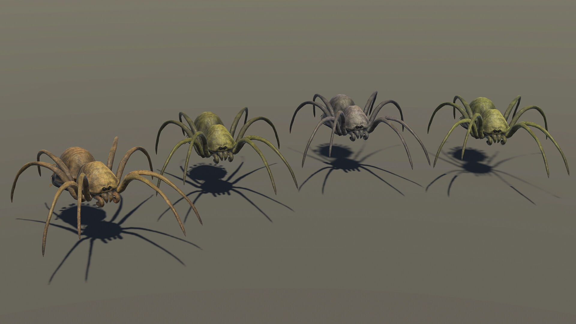 Land Spider3 - Game Ready Low-poly 3D model Low-poly 3D model_10
