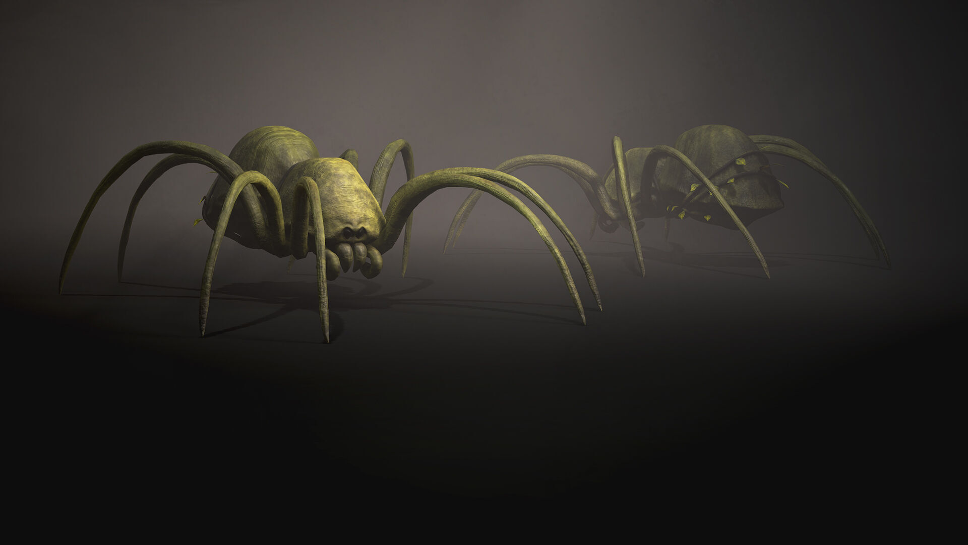 Land Spider3 - Game Ready Low-poly 3D model Low-poly 3D model_3