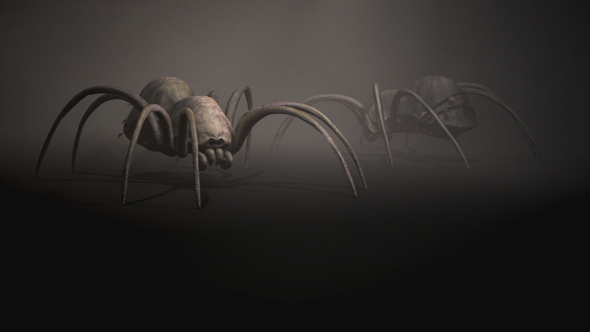 Land Spider3 - Game Ready Low-poly 3D model Low-poly 3D model_2