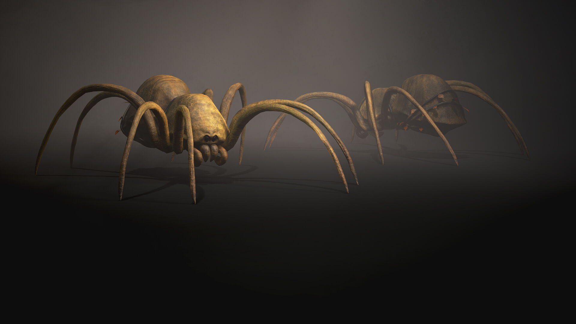 Land Spider3 - Game Ready Low-poly 3D model Low-poly 3D model_4