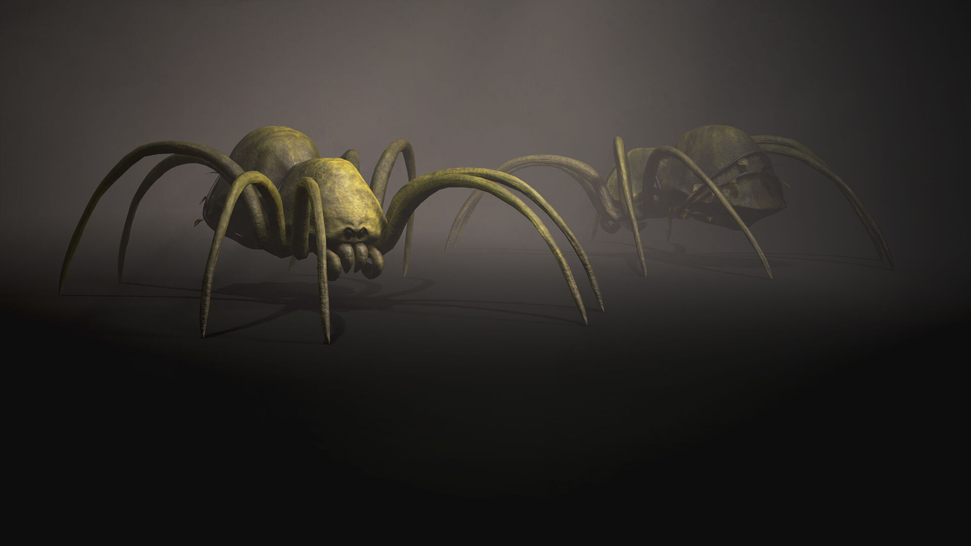 Land Spider3 - Game Ready Low-poly 3D model Low-poly 3D model_5