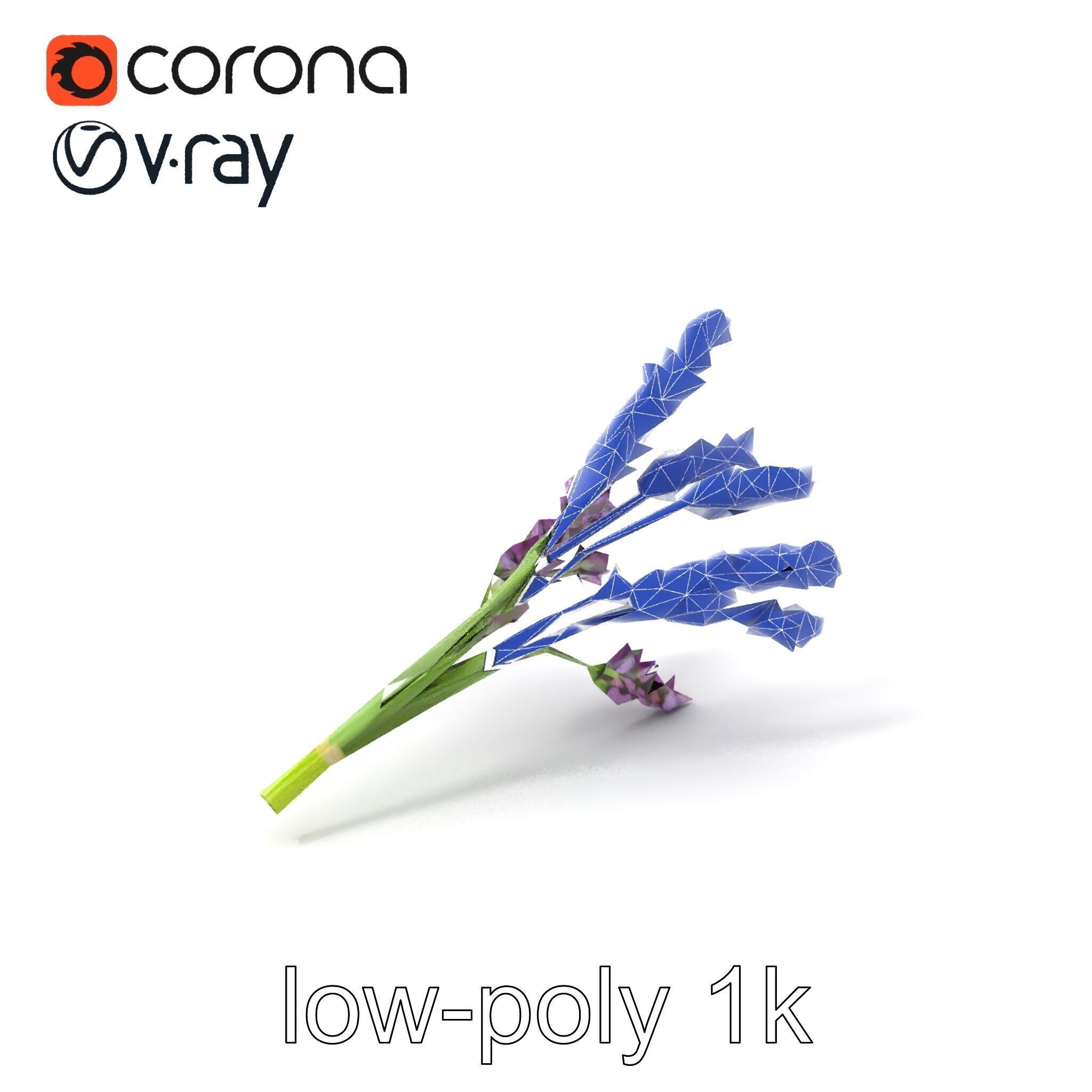 Realistic Lavender Plant Diversity model pack Low-poly 3D model_7