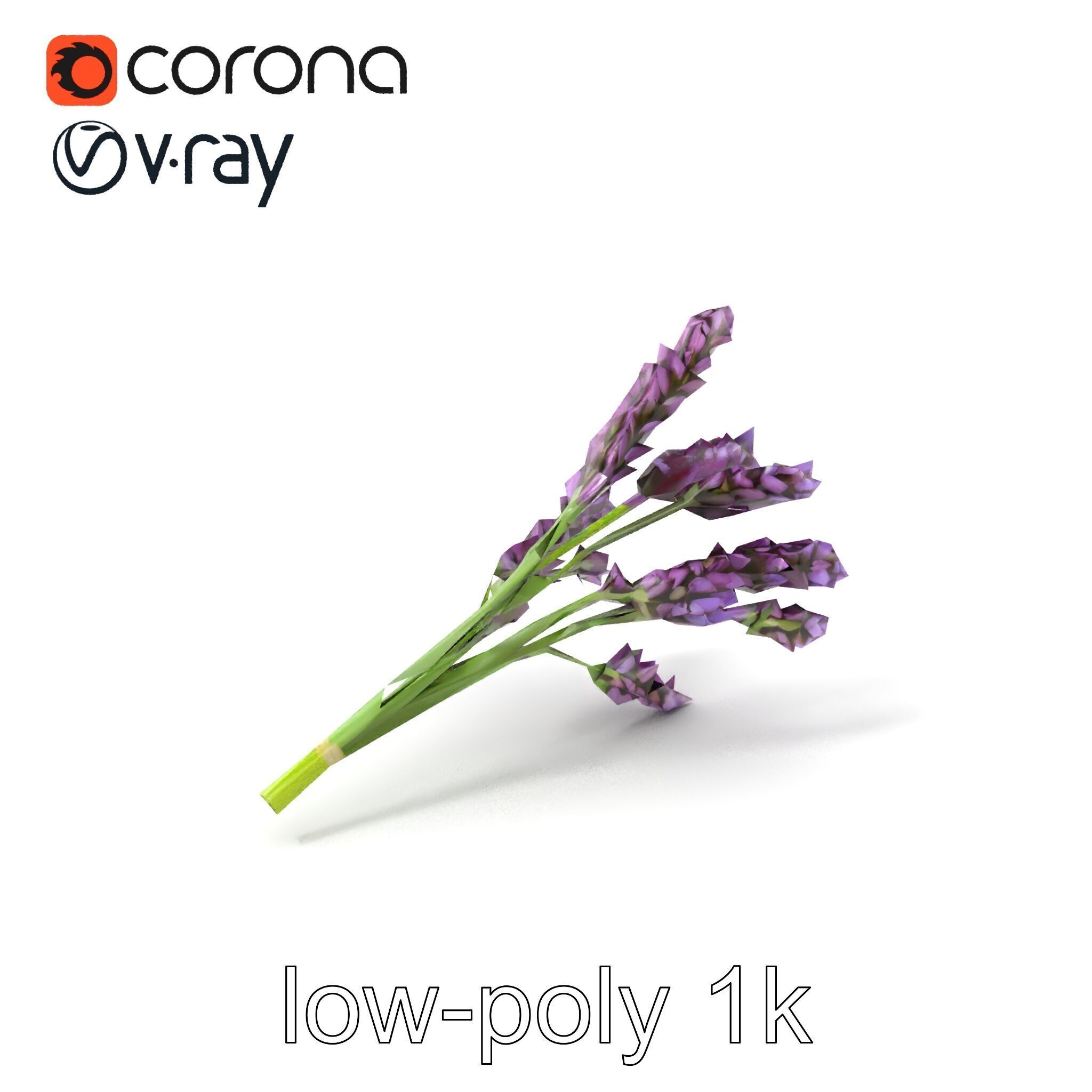 Realistic Lavender Plant Diversity model pack Low-poly 3D model_5
