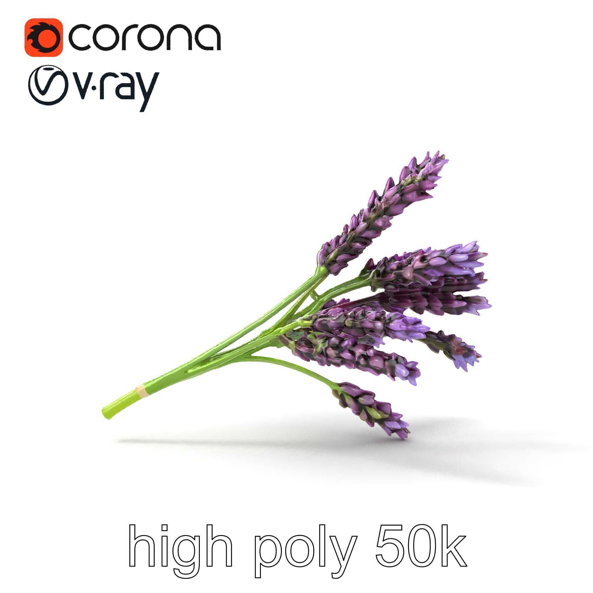 Realistic Lavender Plant Diversity model pack Low-poly 3D model_23