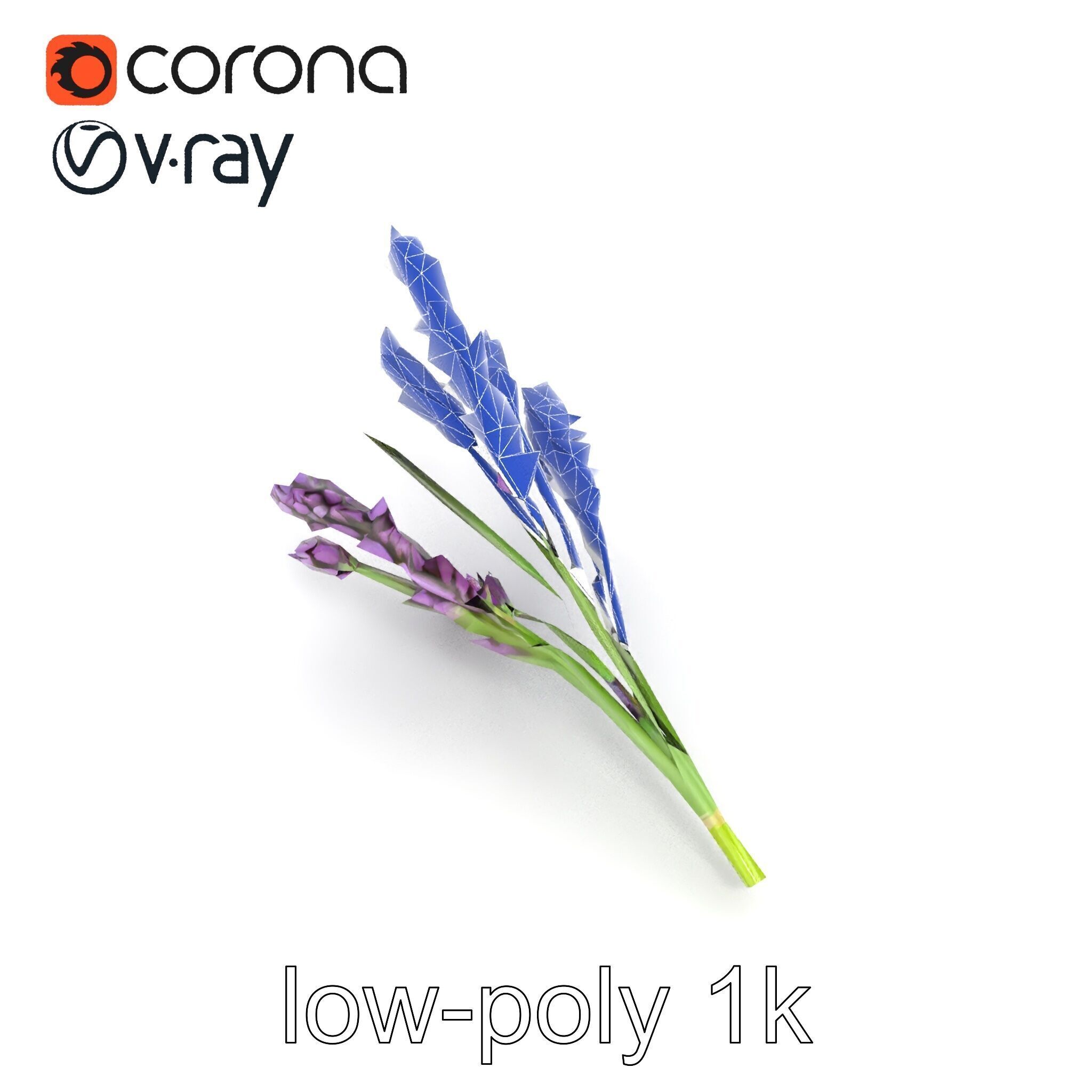 Realistic Lavender Plant Diversity model pack Low-poly 3D model_28