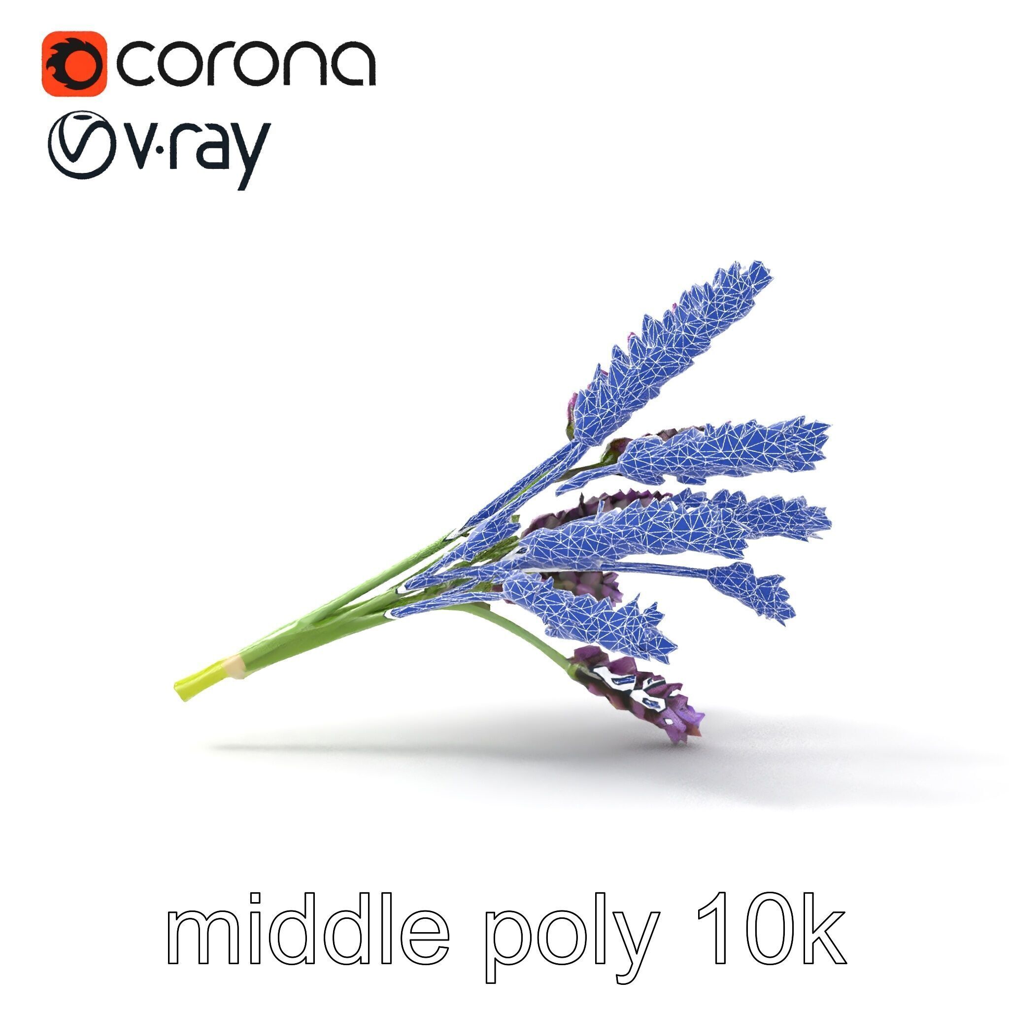 Realistic Lavender Plant Diversity model pack Low-poly 3D model_32