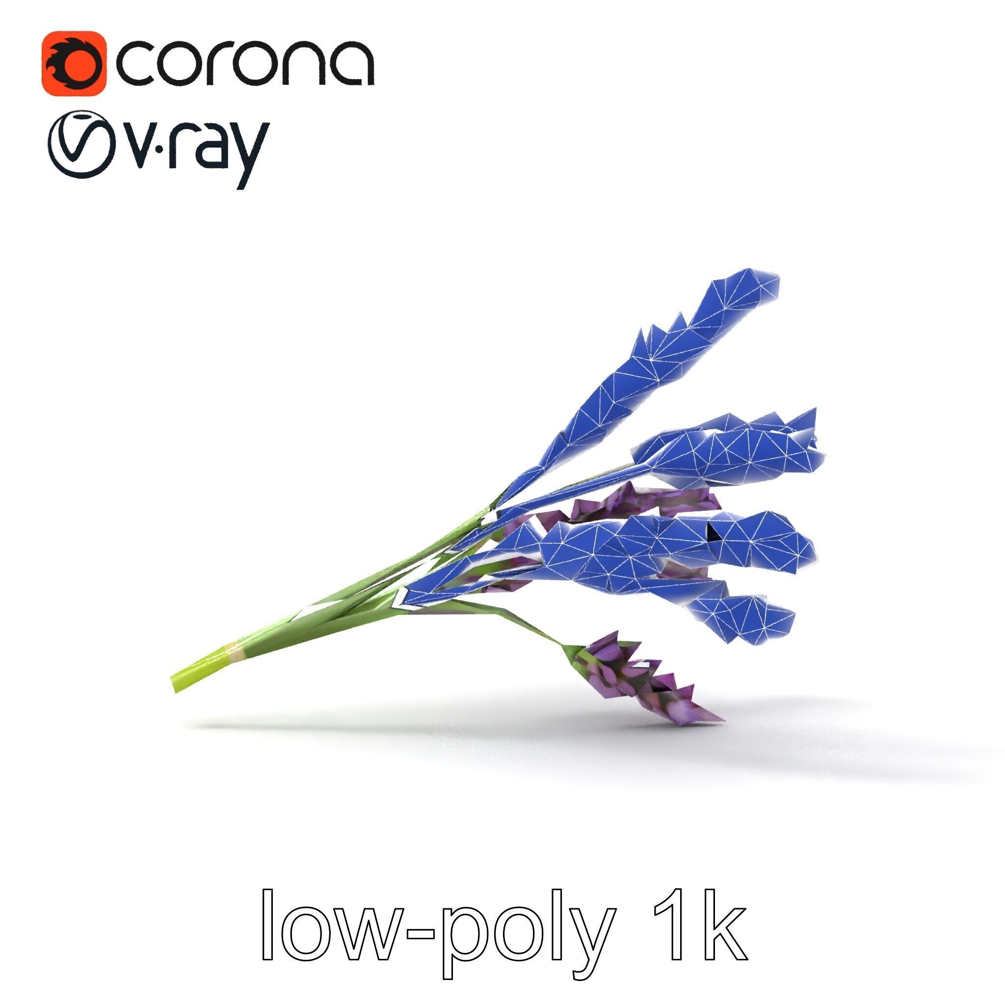 Realistic Lavender Plant Diversity model pack Low-poly 3D model_16