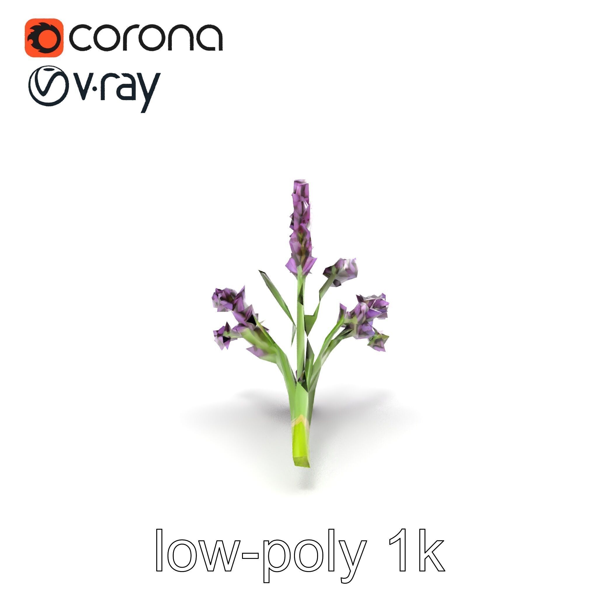 Realistic Lavender Plant Diversity model pack Low-poly 3D model_21