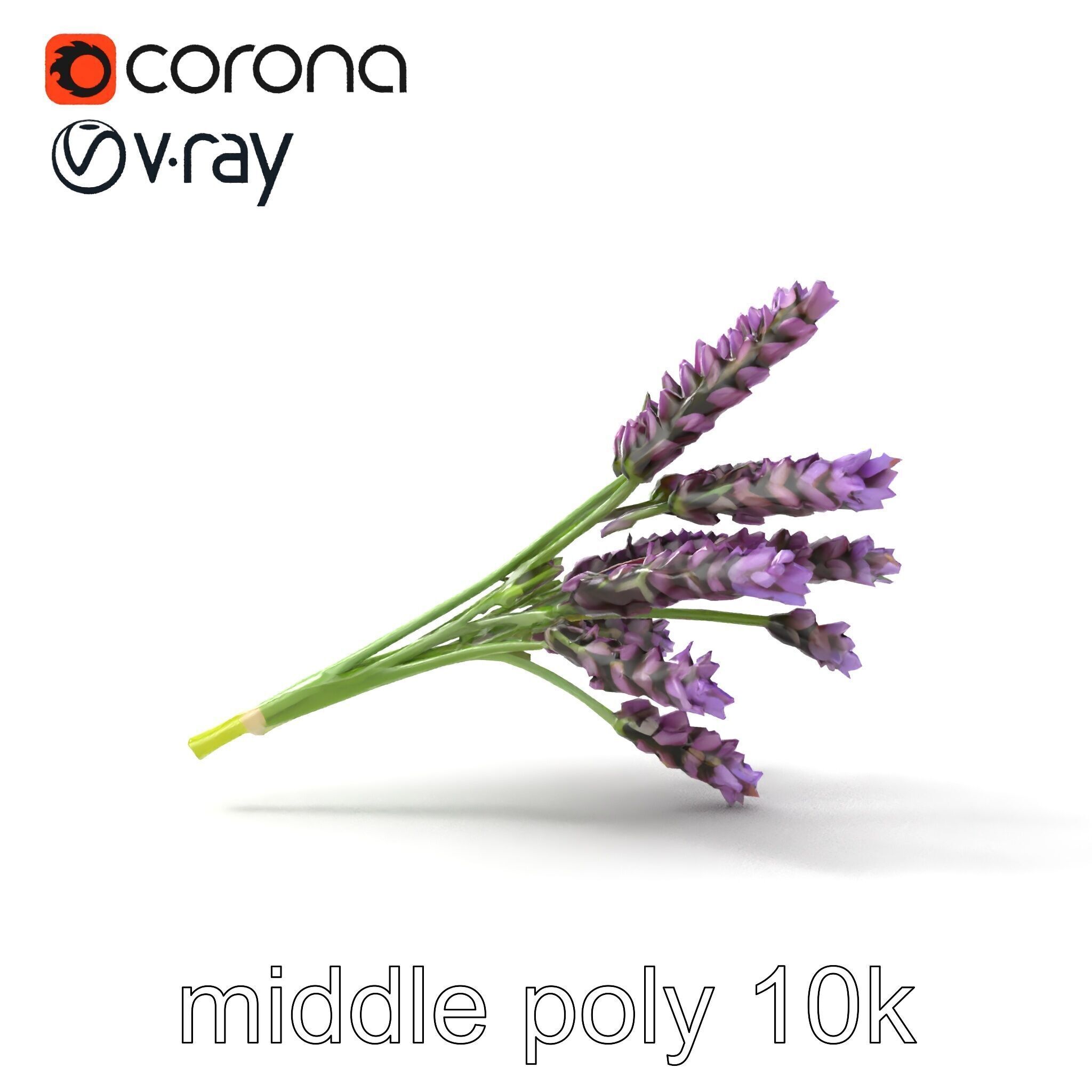 Realistic Lavender Plant Diversity model pack Low-poly 3D model_17