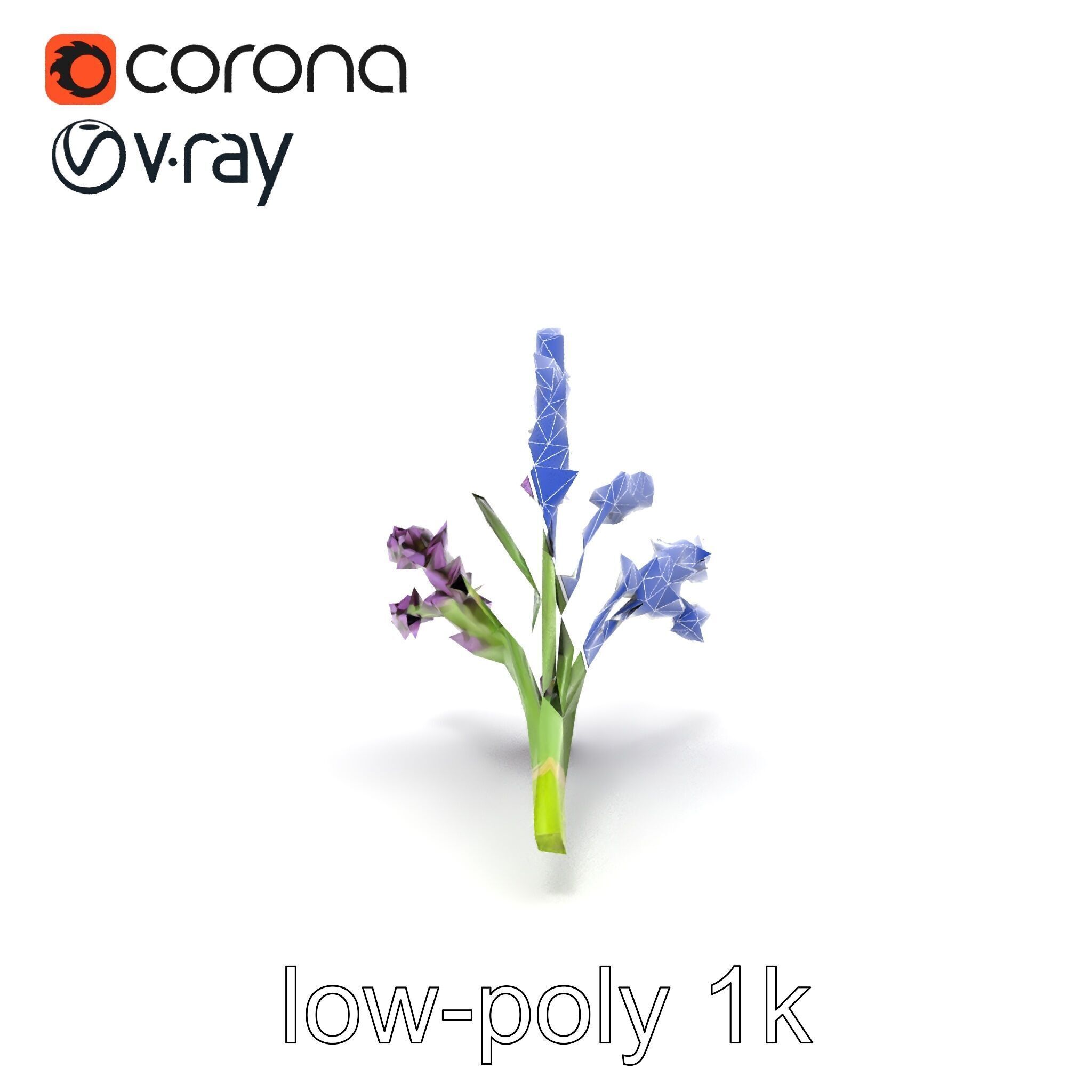 Realistic Lavender Plant Diversity model pack Low-poly 3D model_30