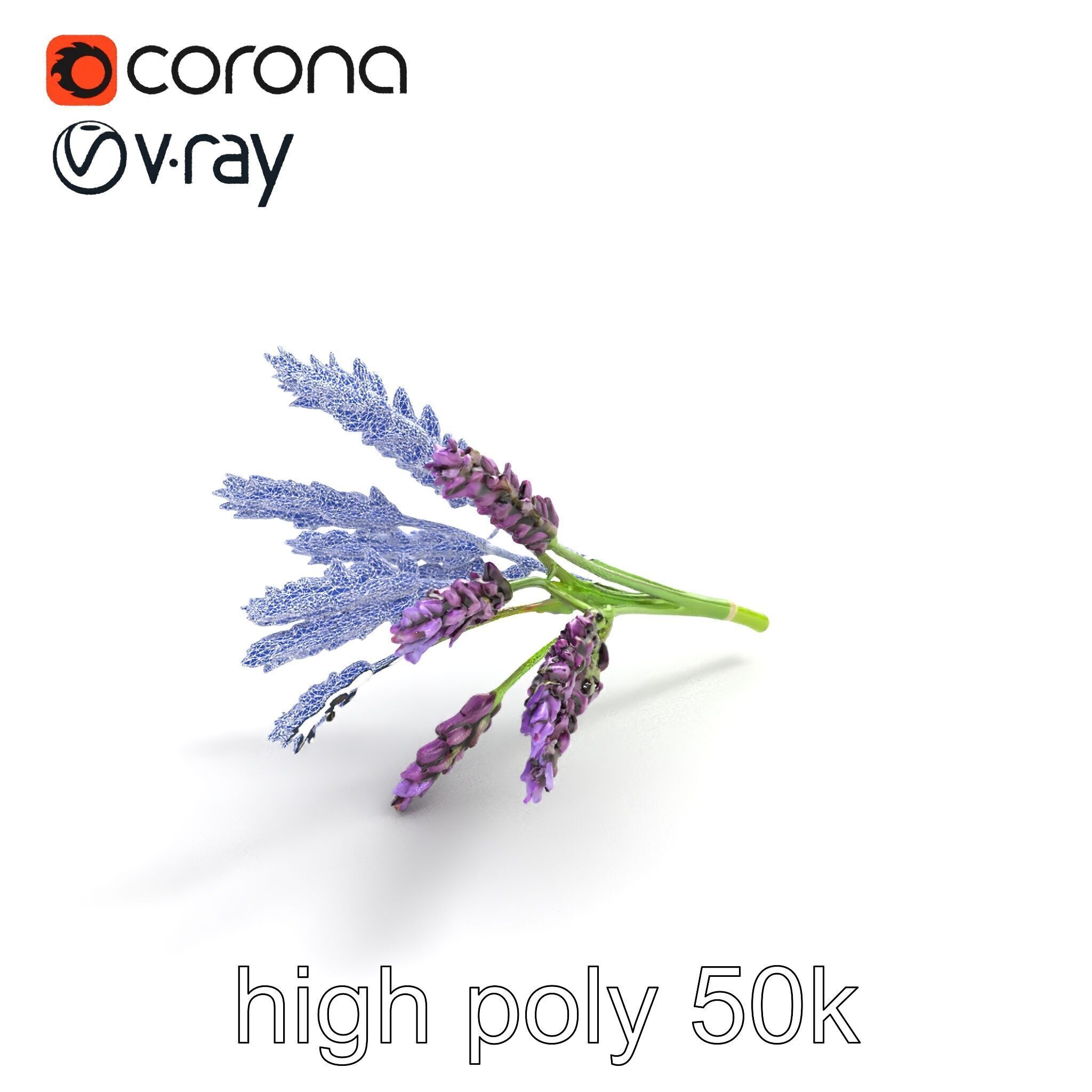 Realistic Lavender Plant Diversity model pack Low-poly 3D model_22