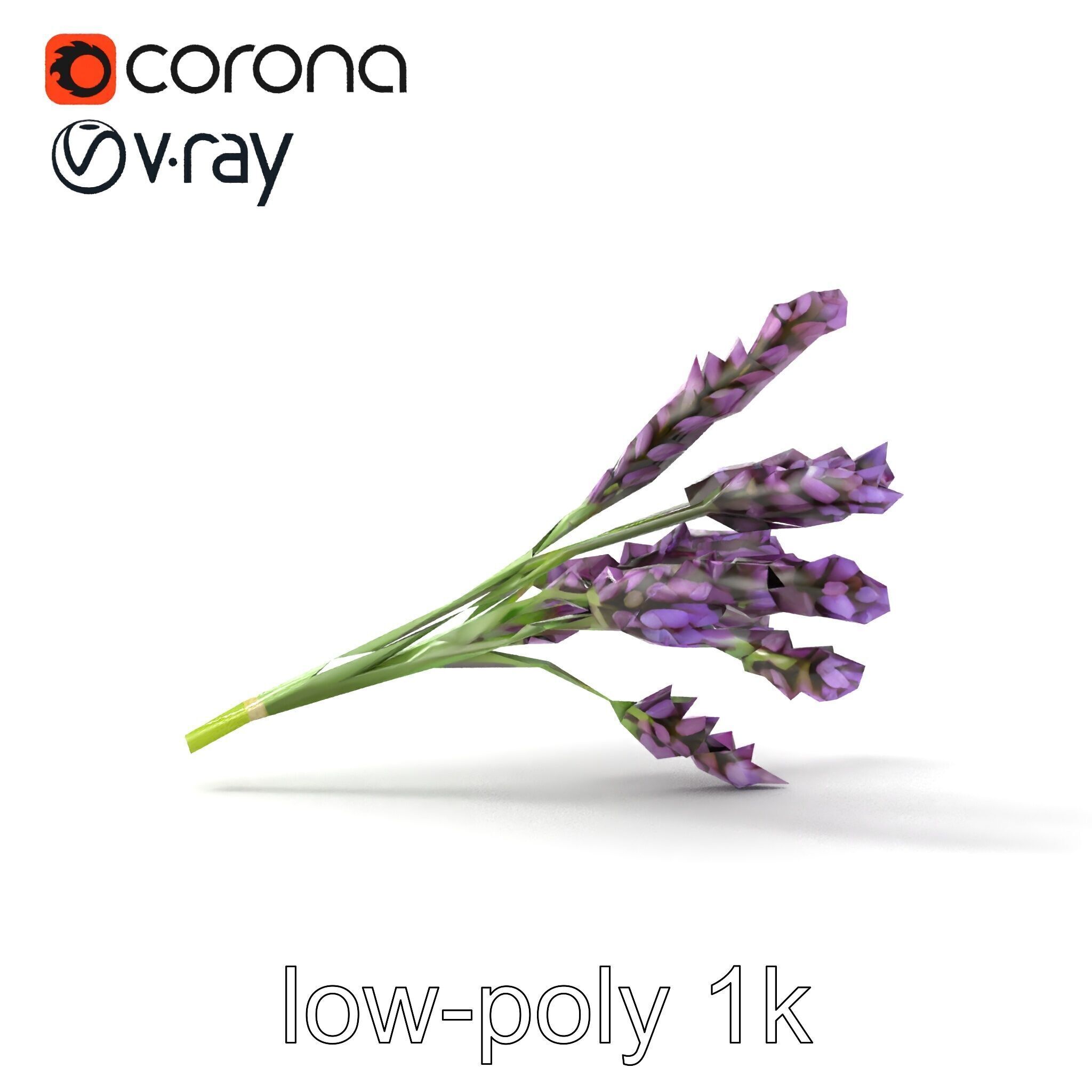 Realistic Lavender Plant Diversity model pack Low-poly 3D model_15