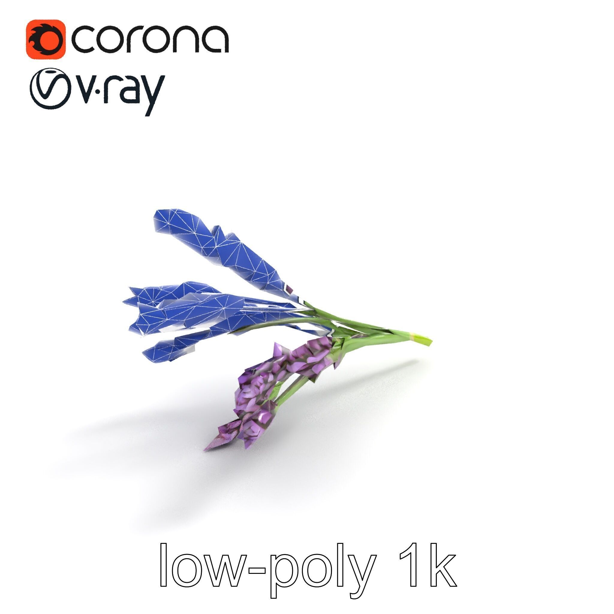 Realistic Lavender Plant Diversity model pack Low-poly 3D model_14