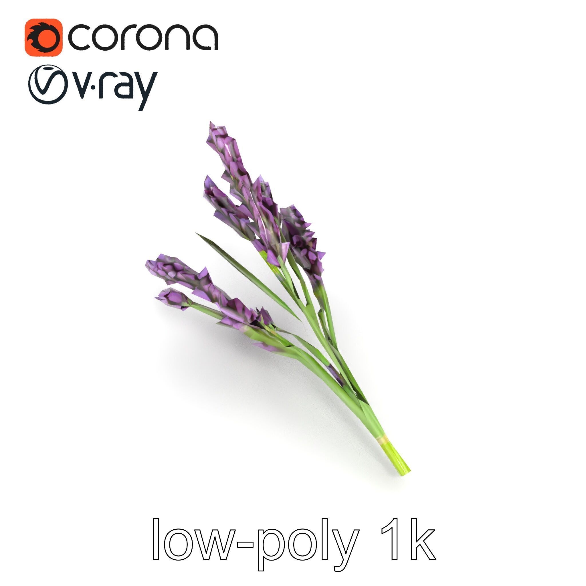 Realistic Lavender Plant Diversity model pack Low-poly 3D model_13