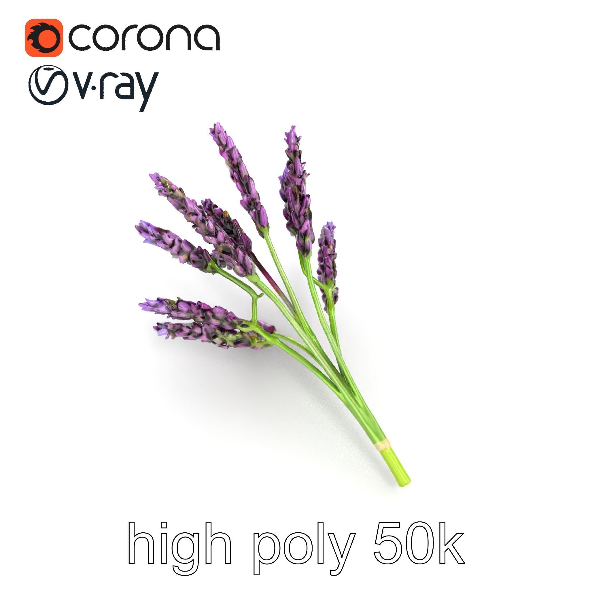 Realistic Lavender Plant Diversity model pack Low-poly 3D model_20