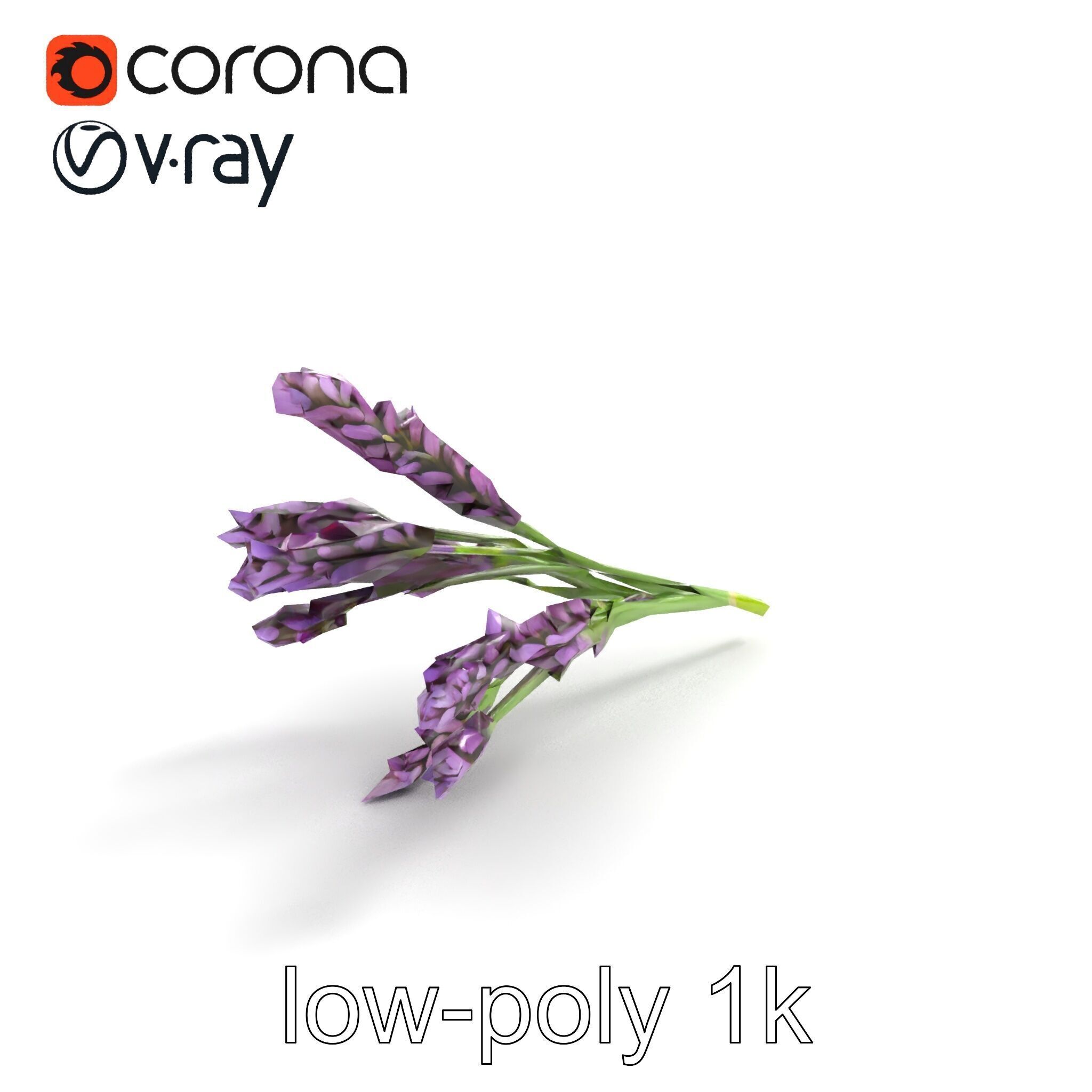 Realistic Lavender Plant Diversity model pack Low-poly 3D model_9