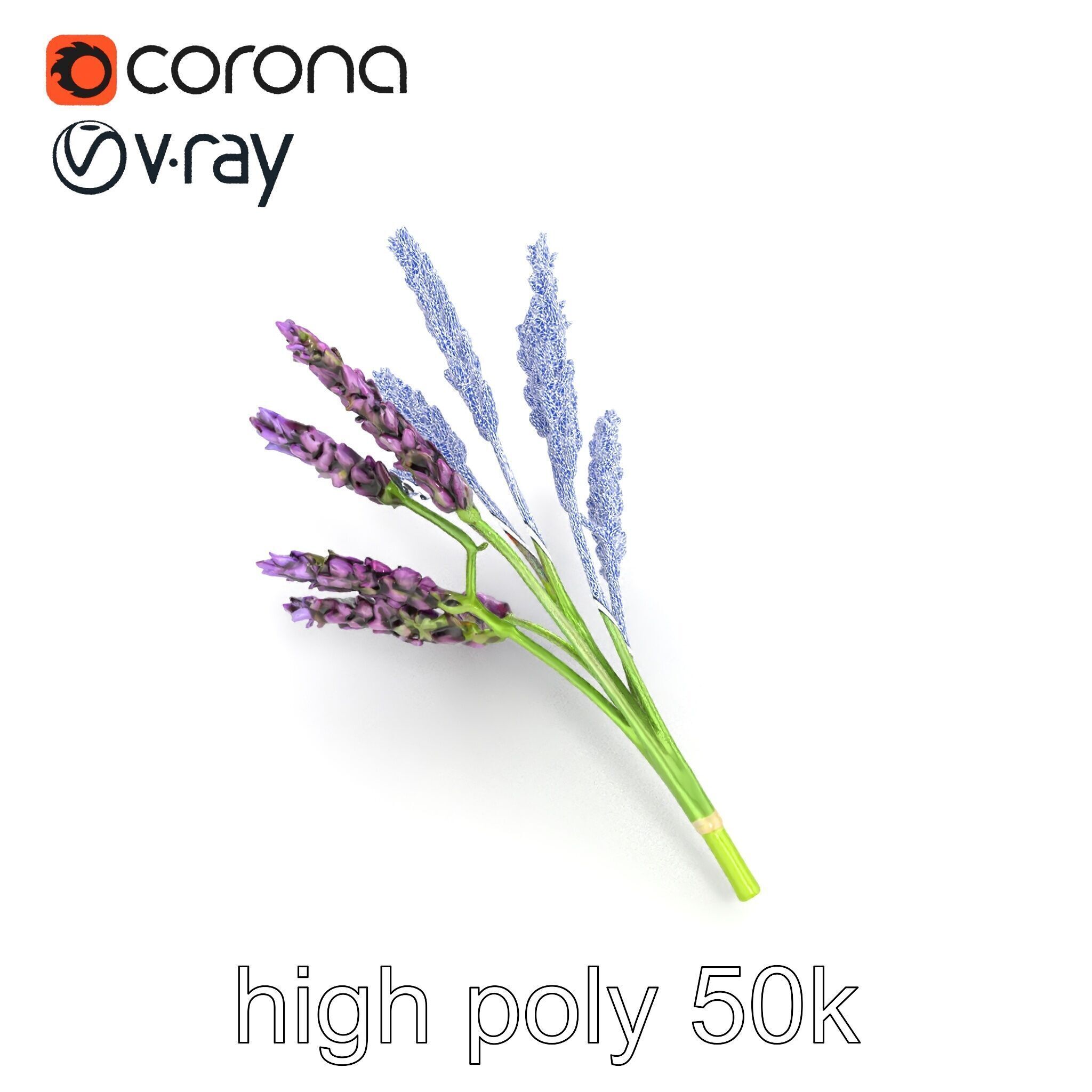 Realistic Lavender Plant Diversity model pack Low-poly 3D model_29