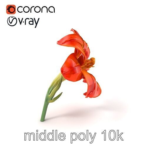 Freesia Orange Petal Detailed Flower model pack Low-poly 3D model