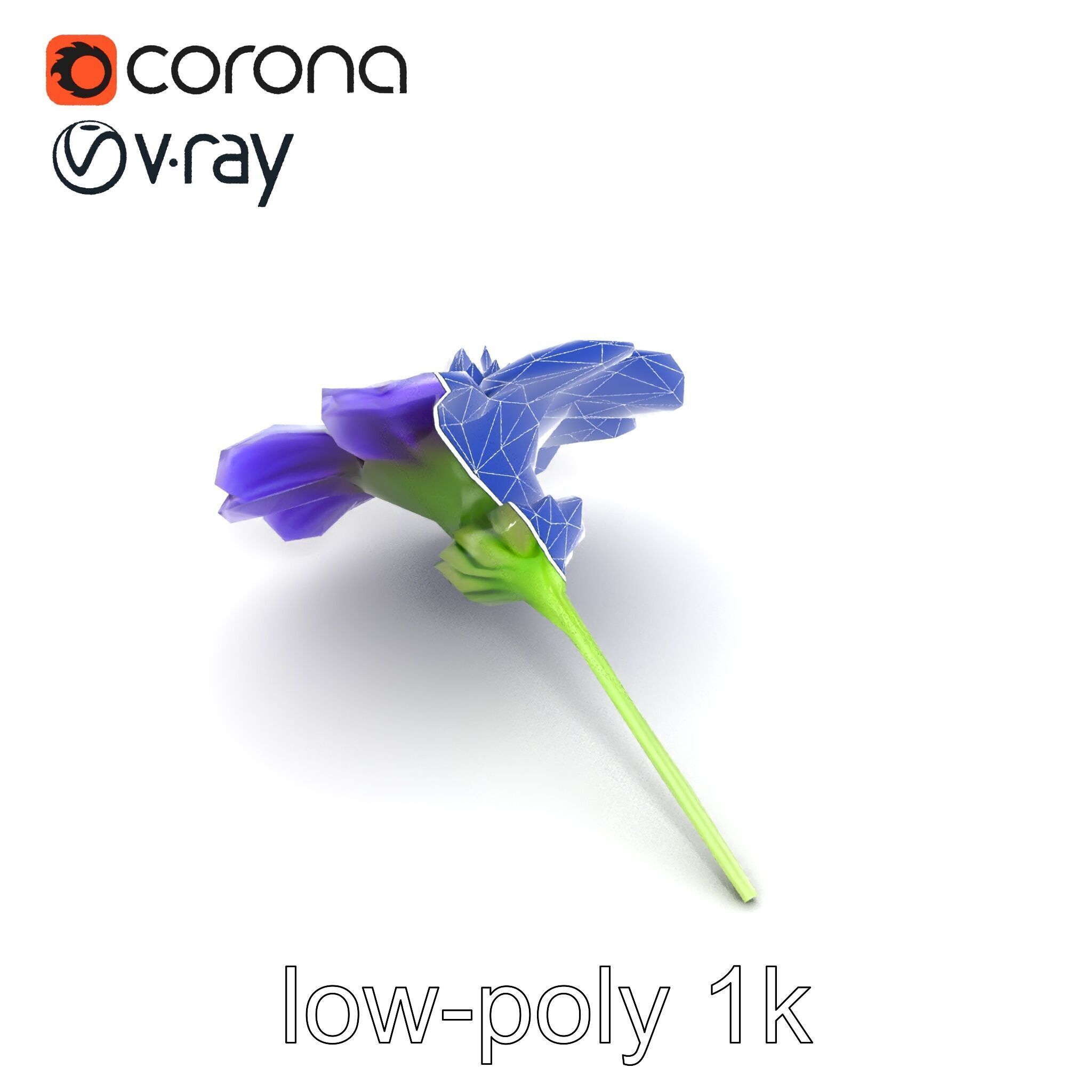 Lavandula Bicolor Flower Gradient Petals model pack Low-poly 3D model_20