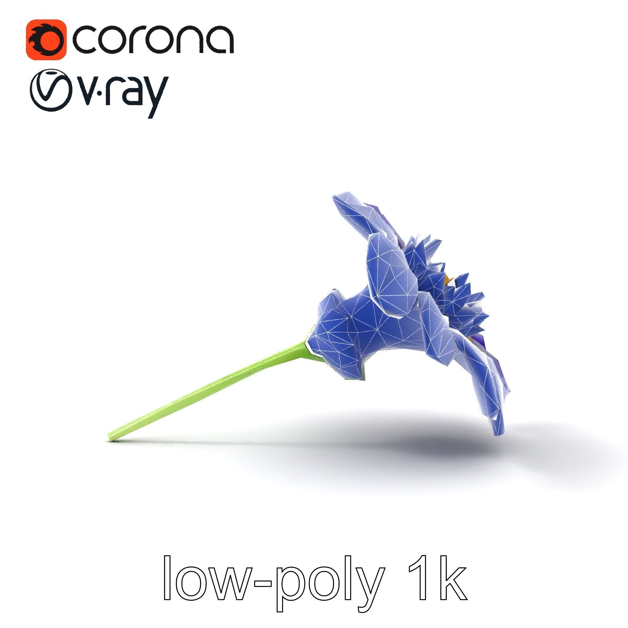 Lavandula Bicolor Flower Gradient Petals model pack Low-poly 3D model_25