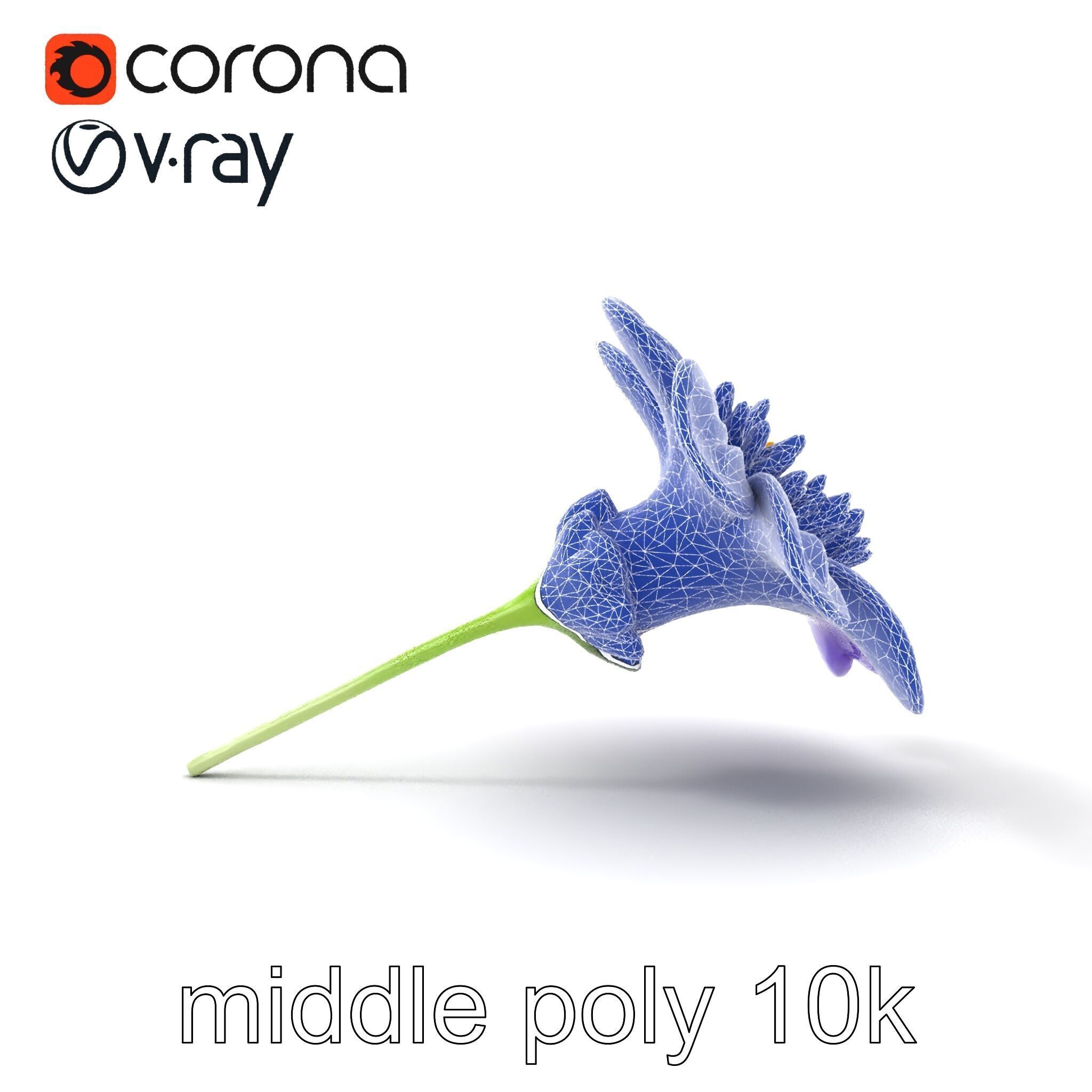 Lavandula Bicolor Flower Gradient Petals model pack Low-poly 3D model_30