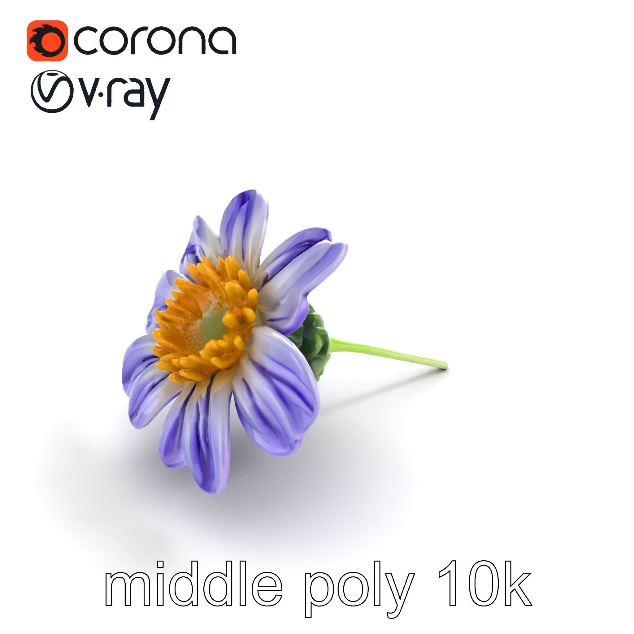 Lavandula Bicolor Flower Gradient Petals model pack Low-poly 3D model_7