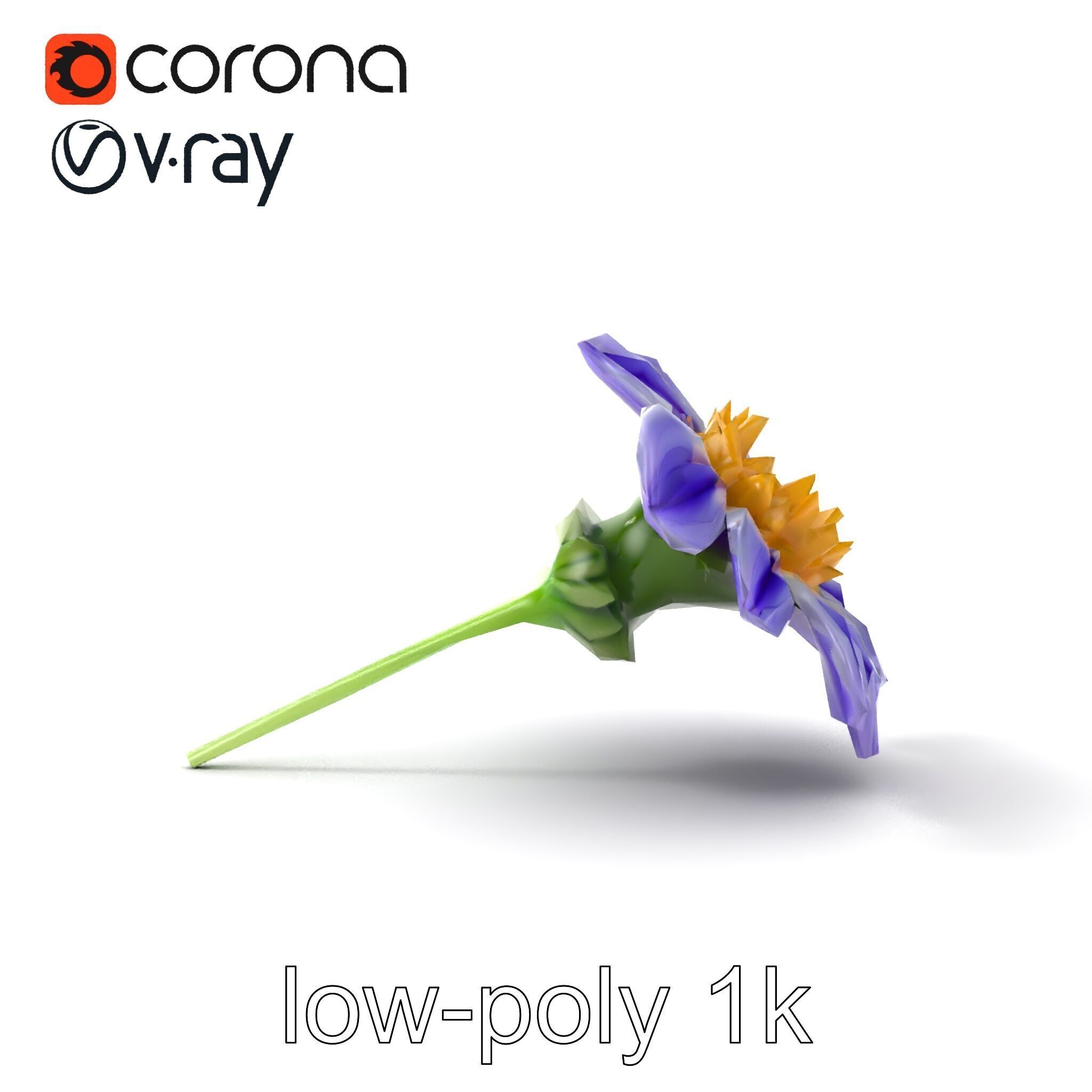 Lavandula Bicolor Flower Gradient Petals model pack Low-poly 3D model_13