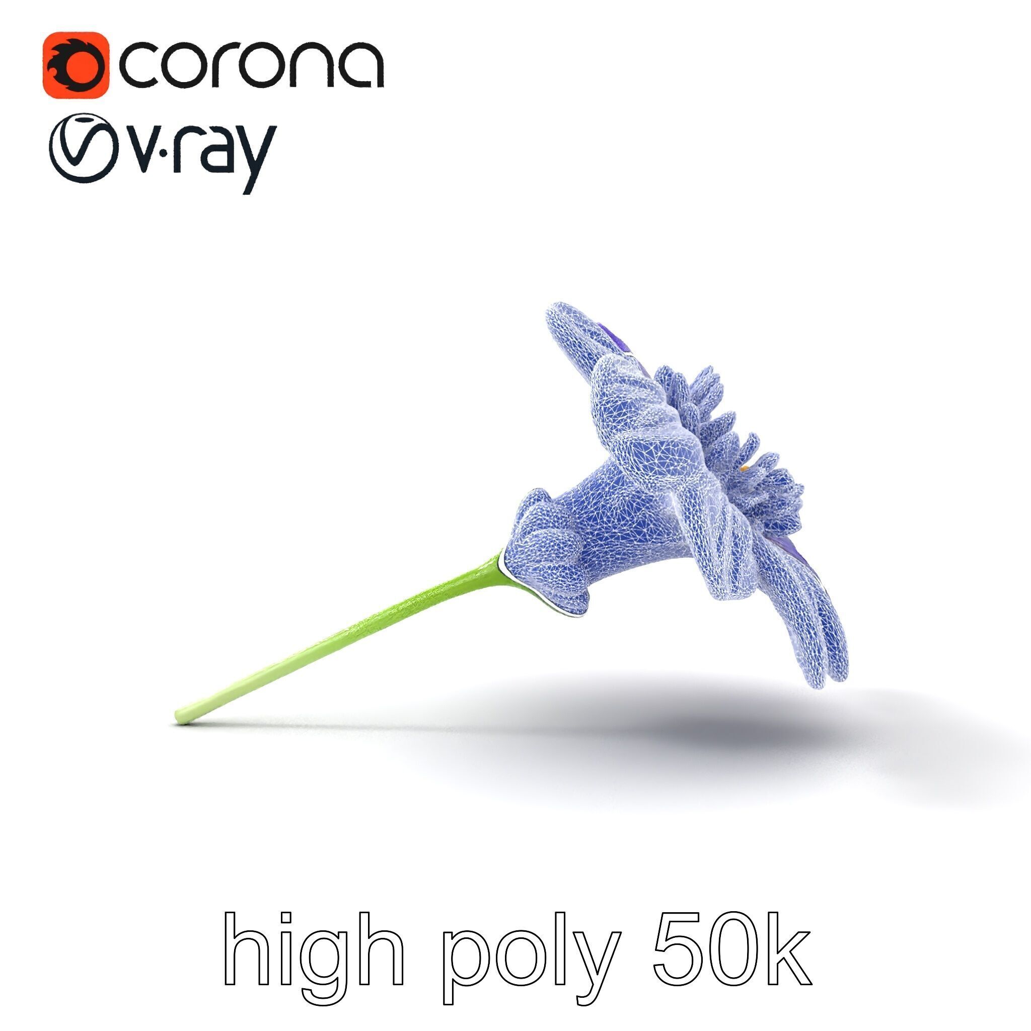 Lavandula Bicolor Flower Gradient Petals model pack Low-poly 3D model_15