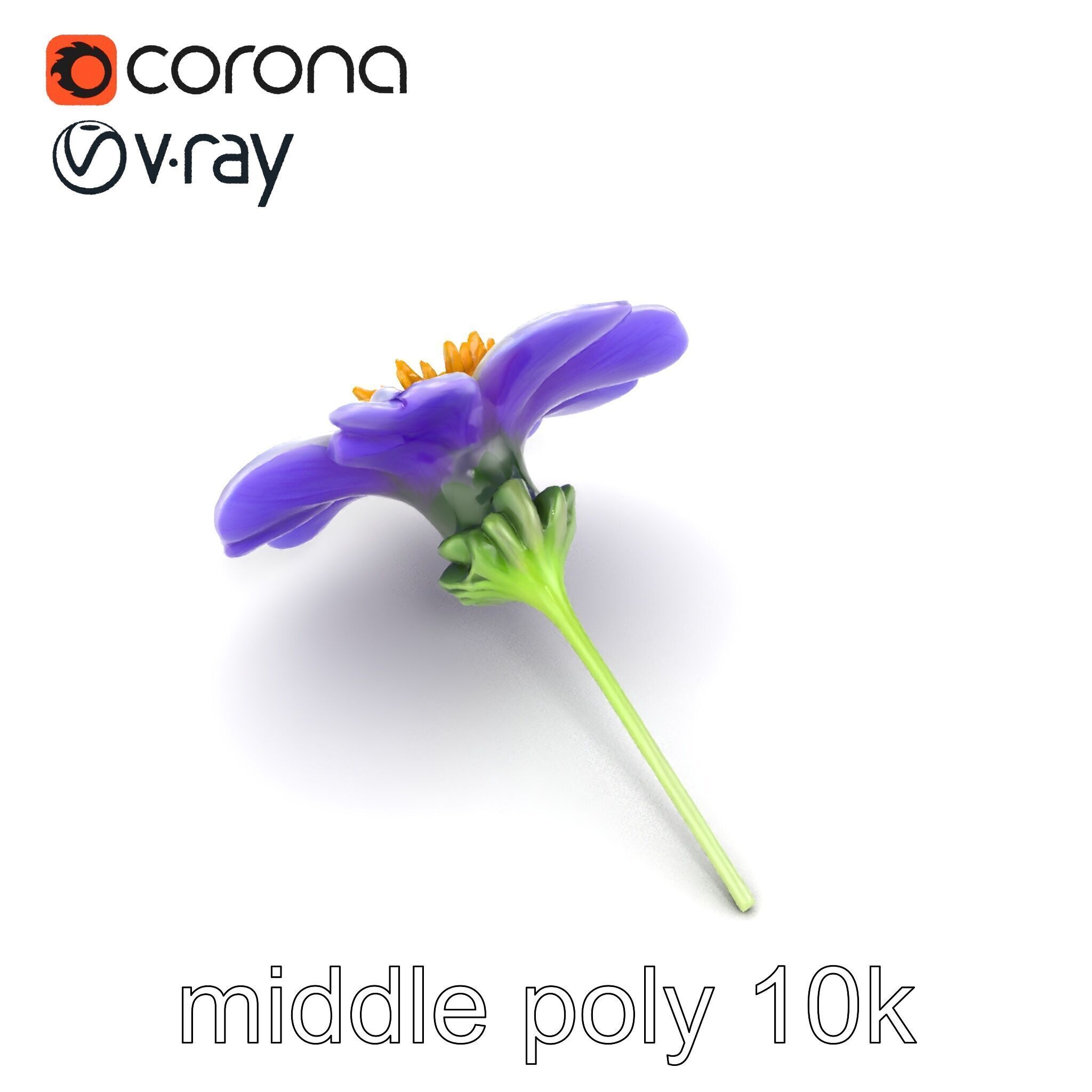 Lavandula Bicolor Flower Gradient Petals model pack Low-poly 3D model_21