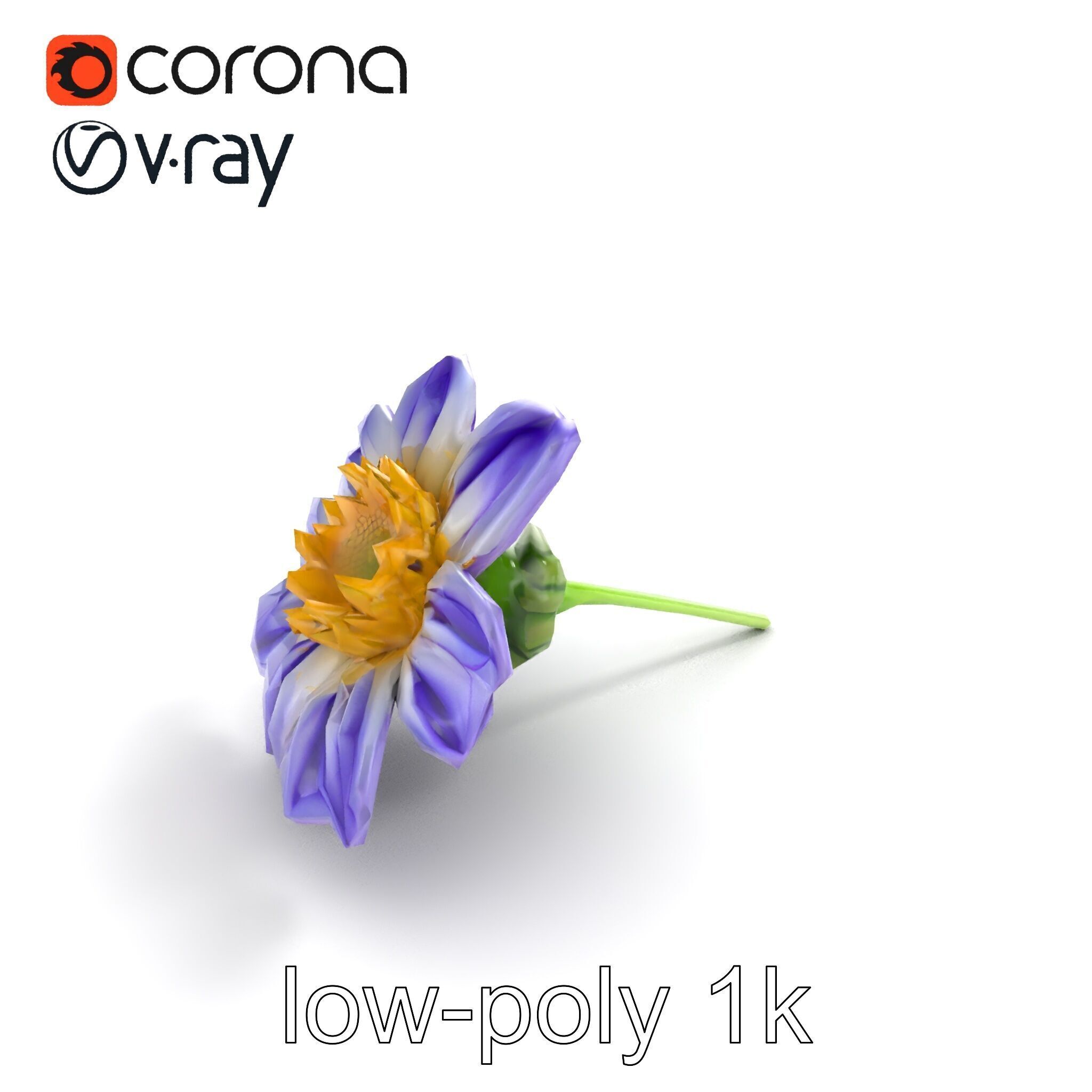 Lavandula Bicolor Flower Gradient Petals model pack Low-poly 3D model_8
