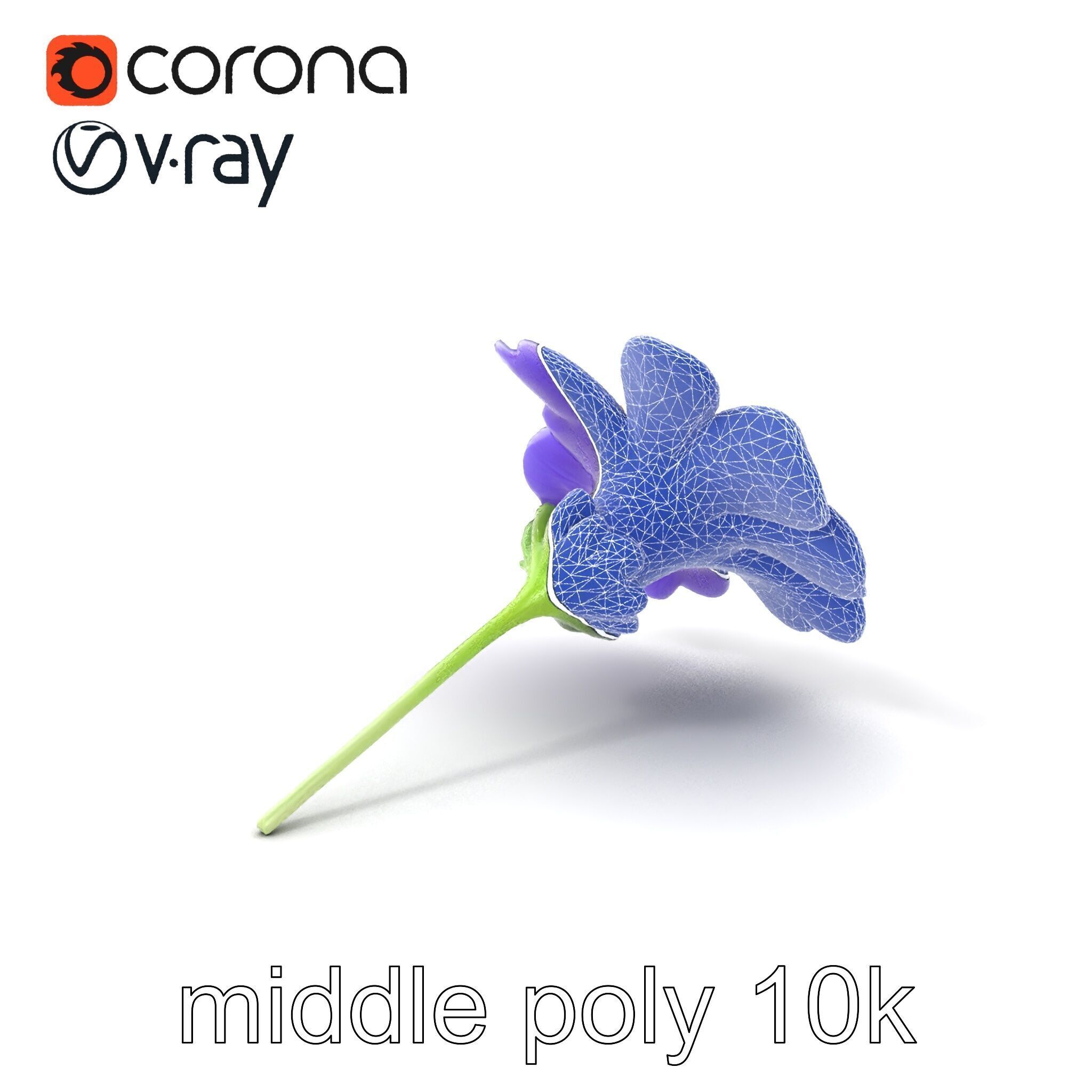 Lavandula Bicolor Flower Gradient Petals model pack Low-poly 3D model_5