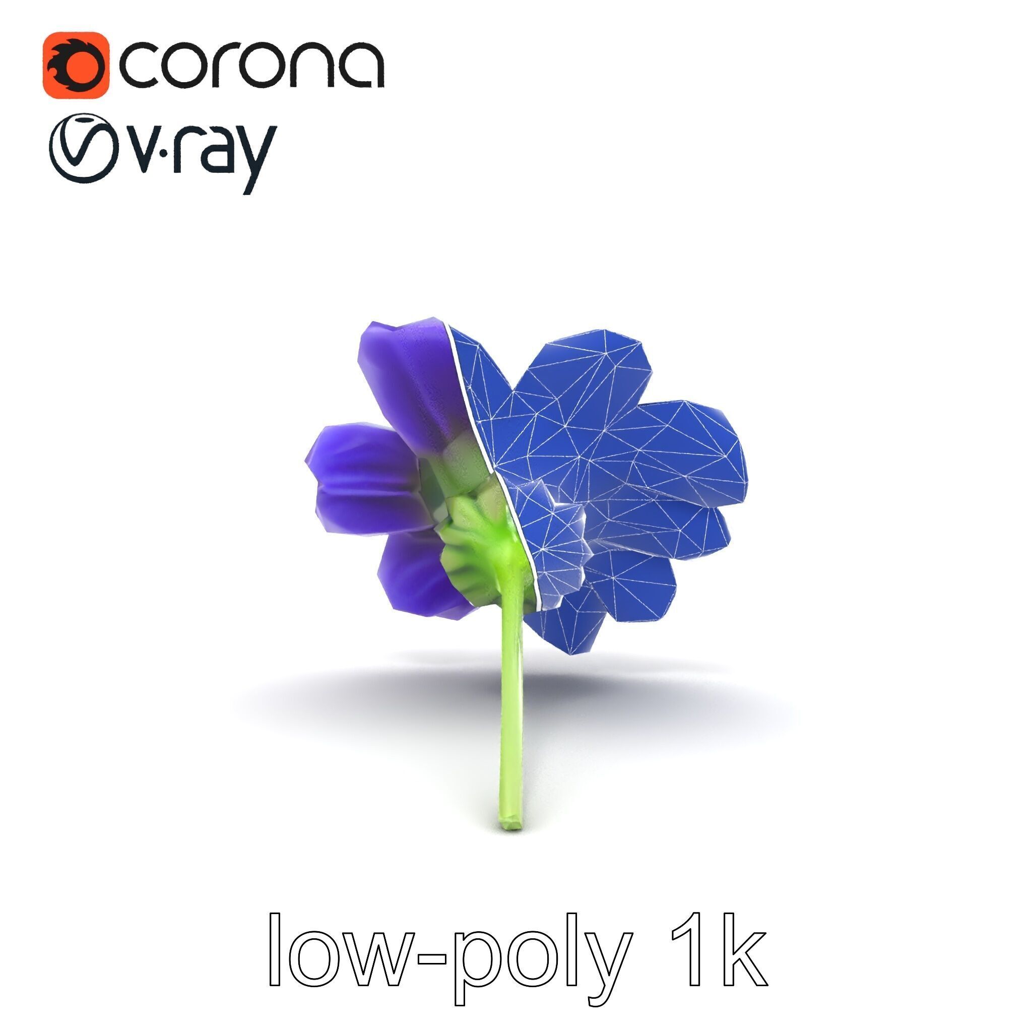 Lavandula Bicolor Flower Gradient Petals model pack Low-poly 3D model_23