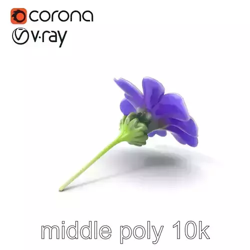 Lavandula Bicolor Flower Gradient Petals model pack Low-poly 3D model Lavandula Bicolor Flower Gradient Petals model pack Low-poly 3D model