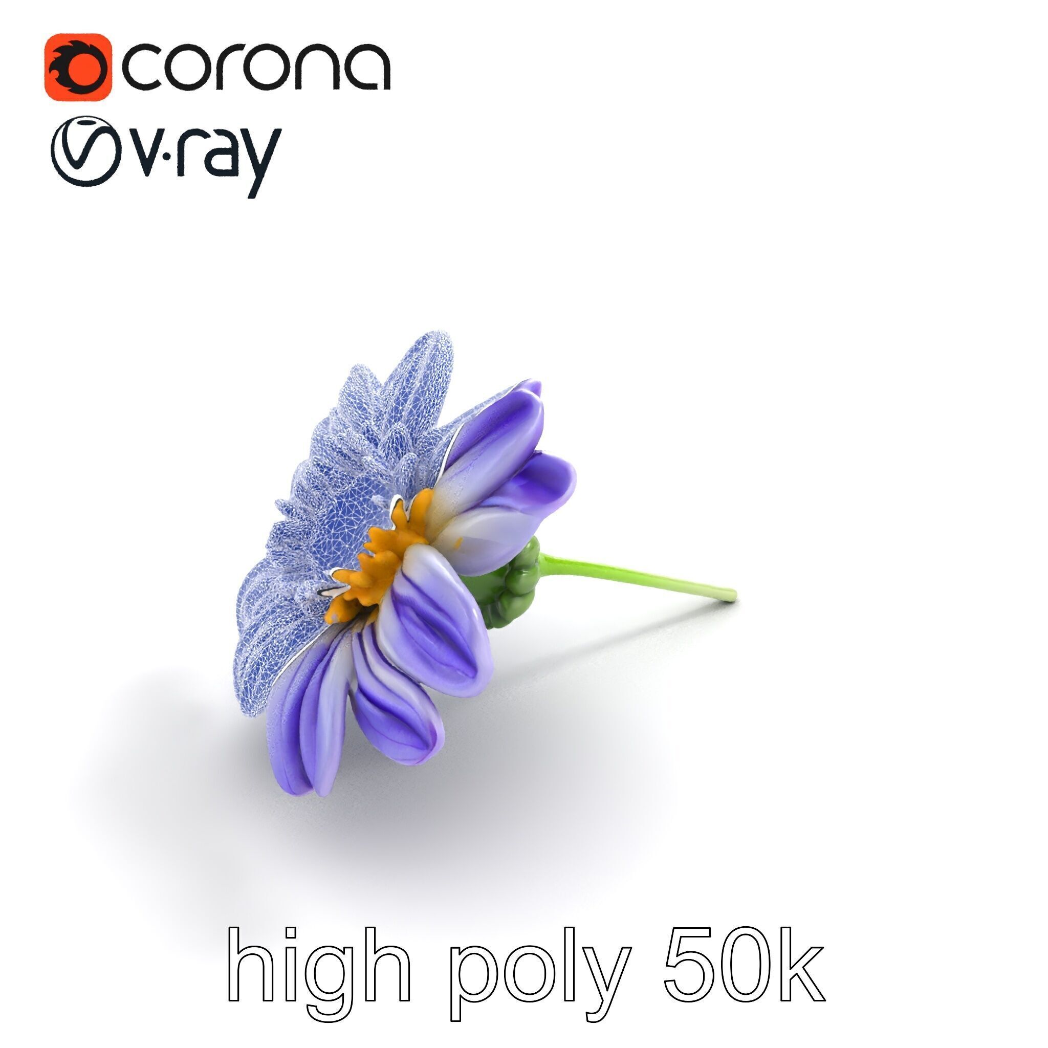 Lavandula Bicolor Flower Gradient Petals model pack Low-poly 3D model_18