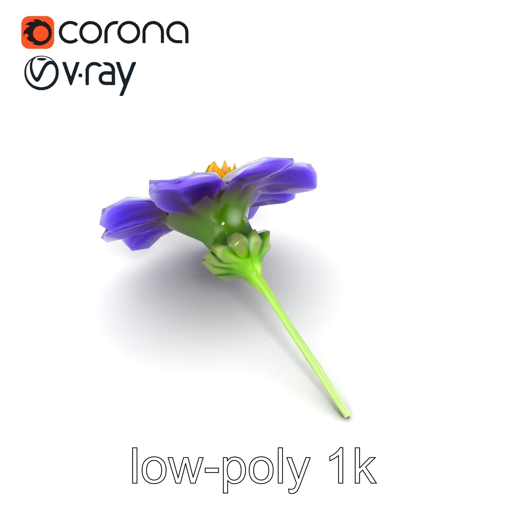 Lavandula Bicolor Flower Gradient Petals model pack Low-poly 3D model_26